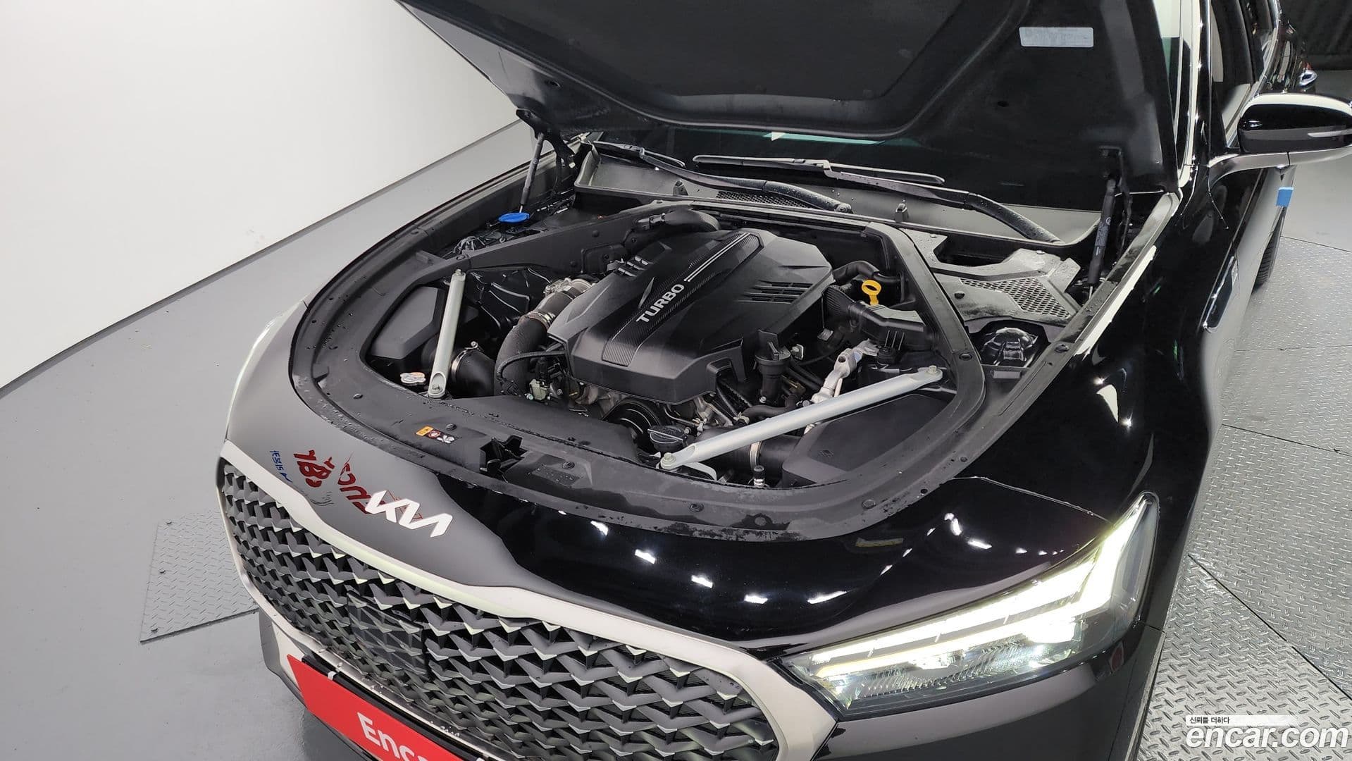 Main__Slider__Photo:K9 Kia 2022.11-5