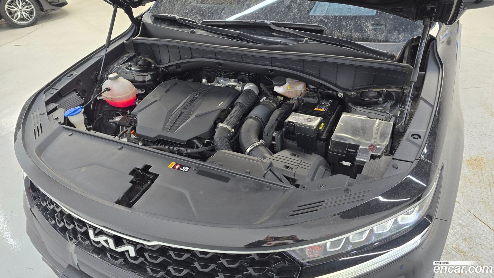 Main__Slider__Photo:Sorento Kia 2022.1-5