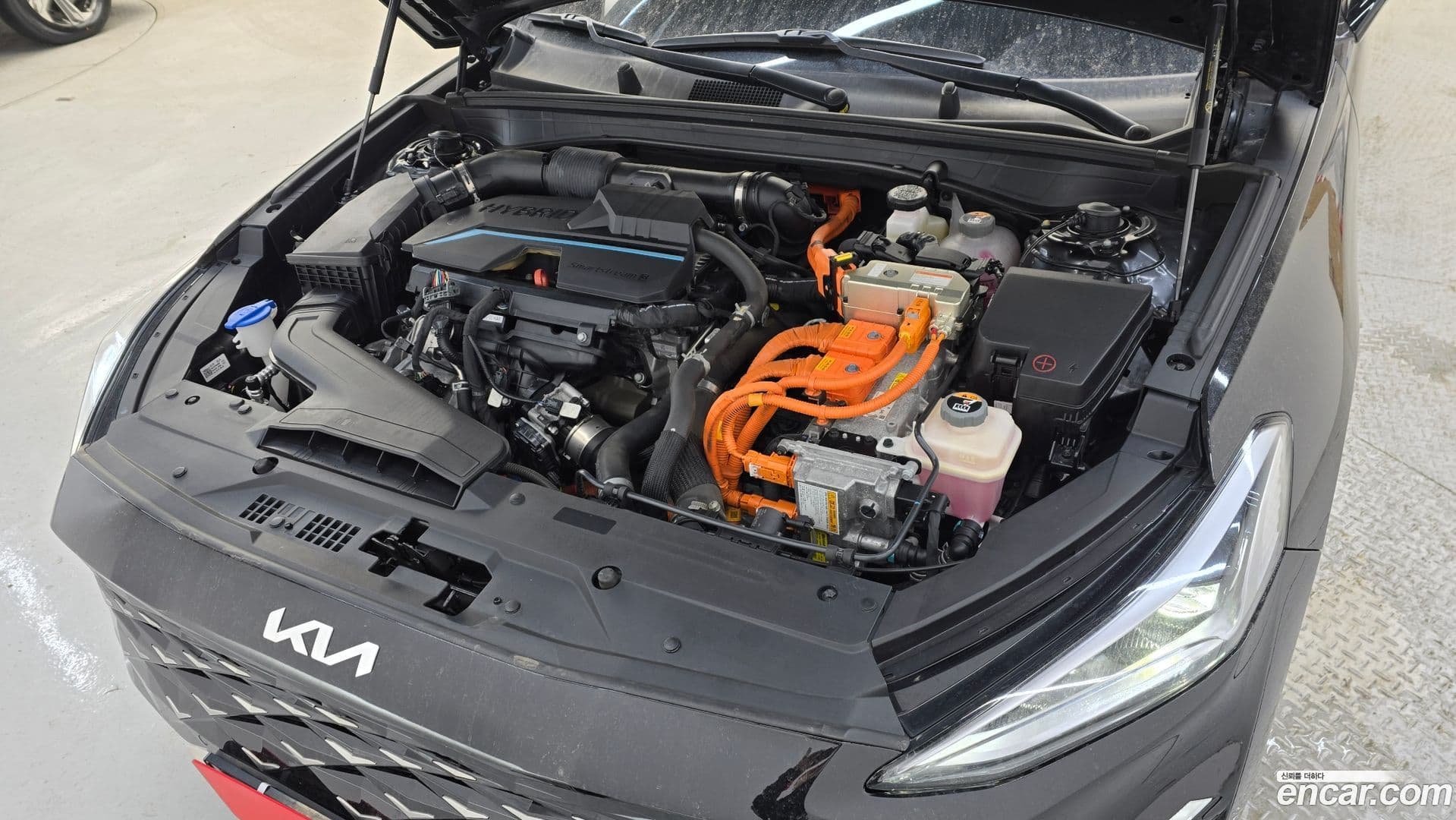 Main__Slider__Photo:K8 Kia 2021.11-5