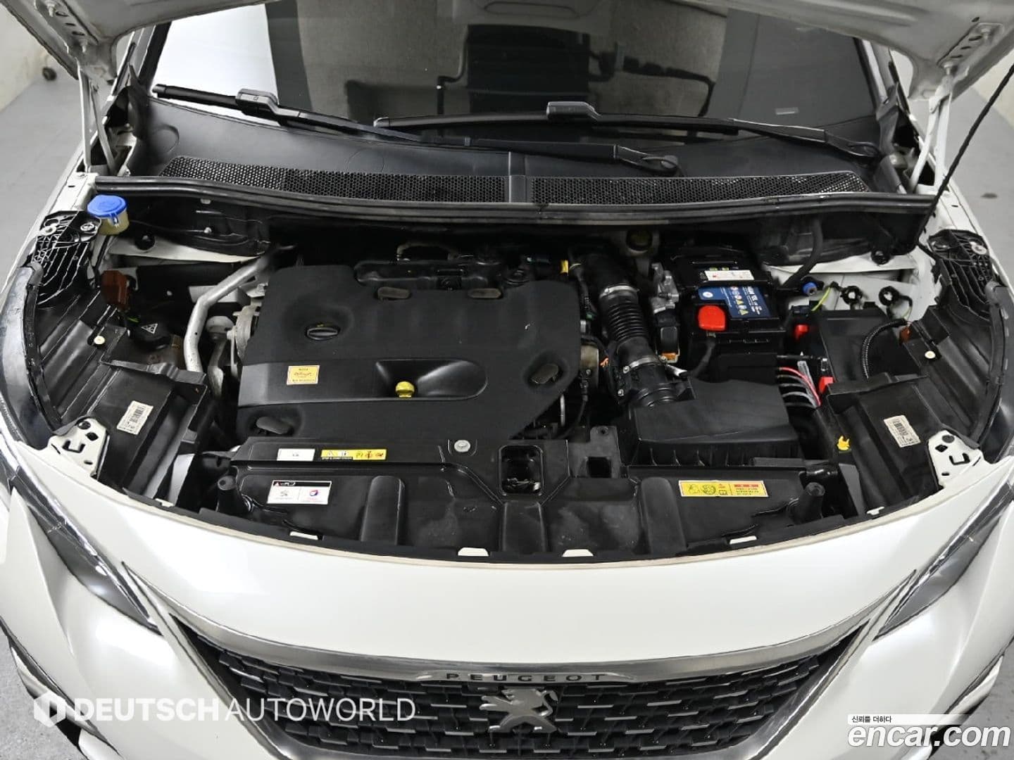 Main__Slider__Photo:5008 Peugeot 2021.5-5