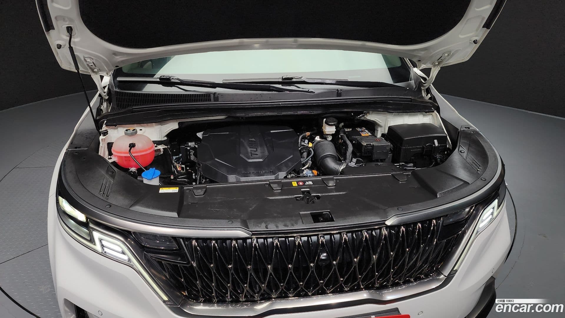 Main__Slider__Photo:Canival Kia 2023.8-5