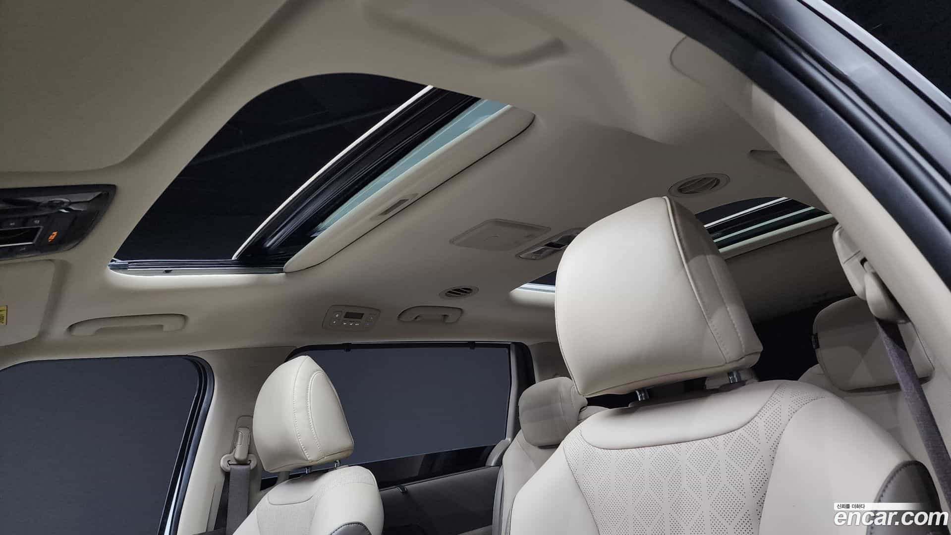 Canival Kia 2023.8-OPTION-021