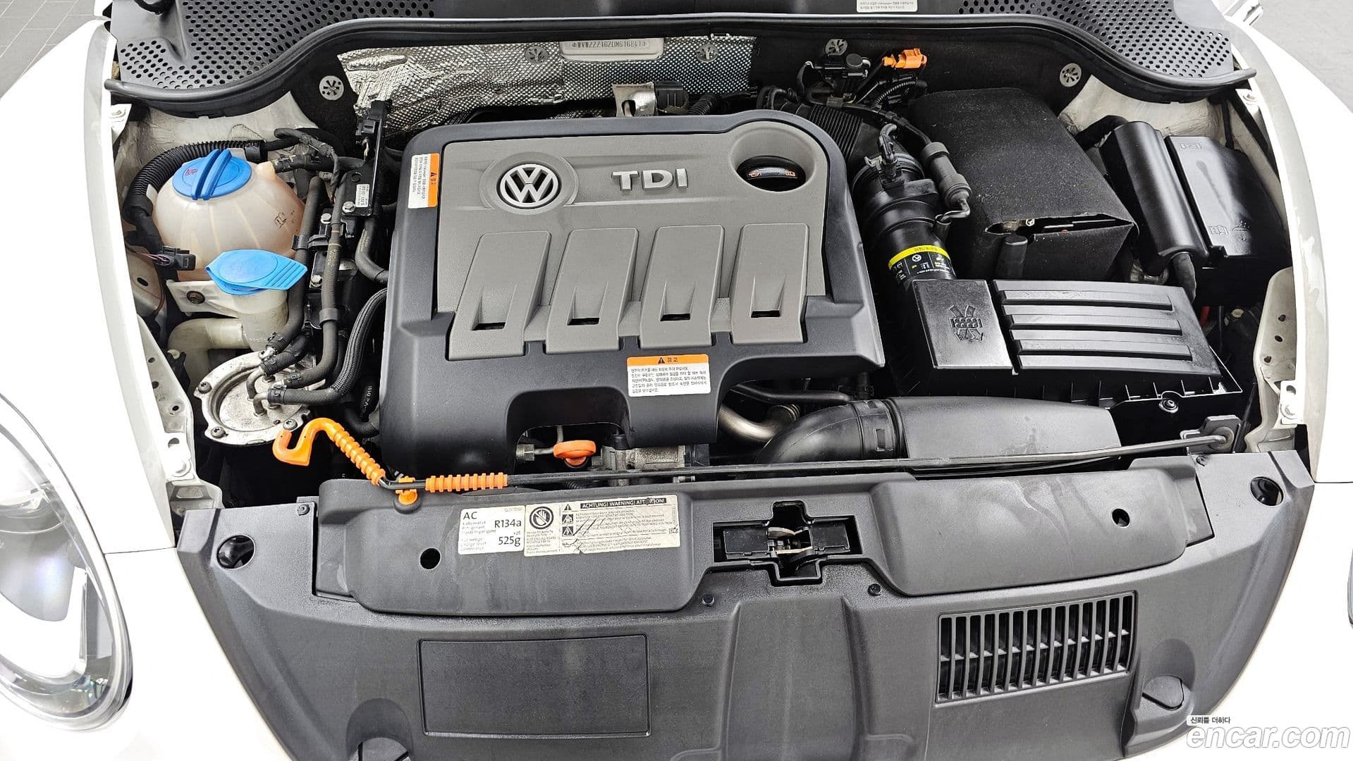 Main__Slider__Photo:Beatle Volkswagen 2012.9-5