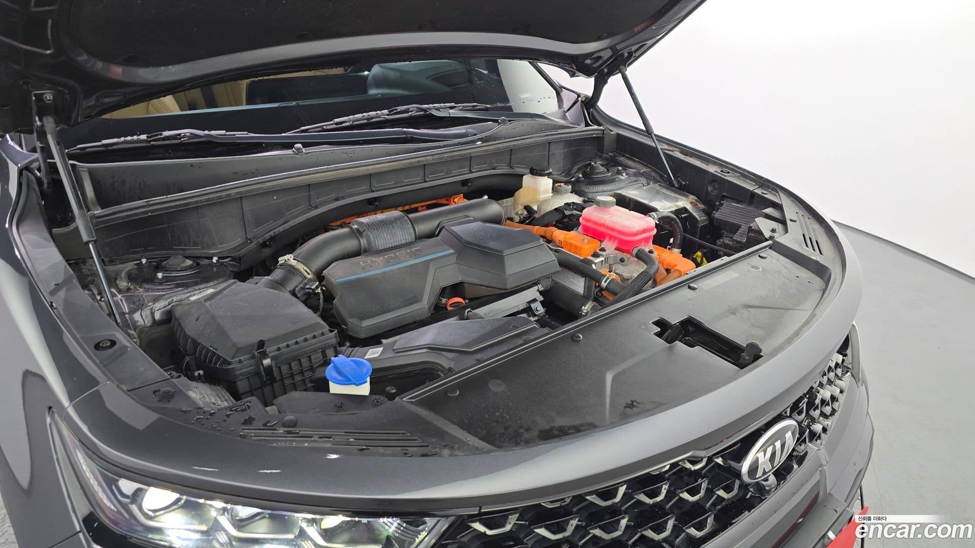 Main__Slider__Photo:Sorento Kia 2021.0-5