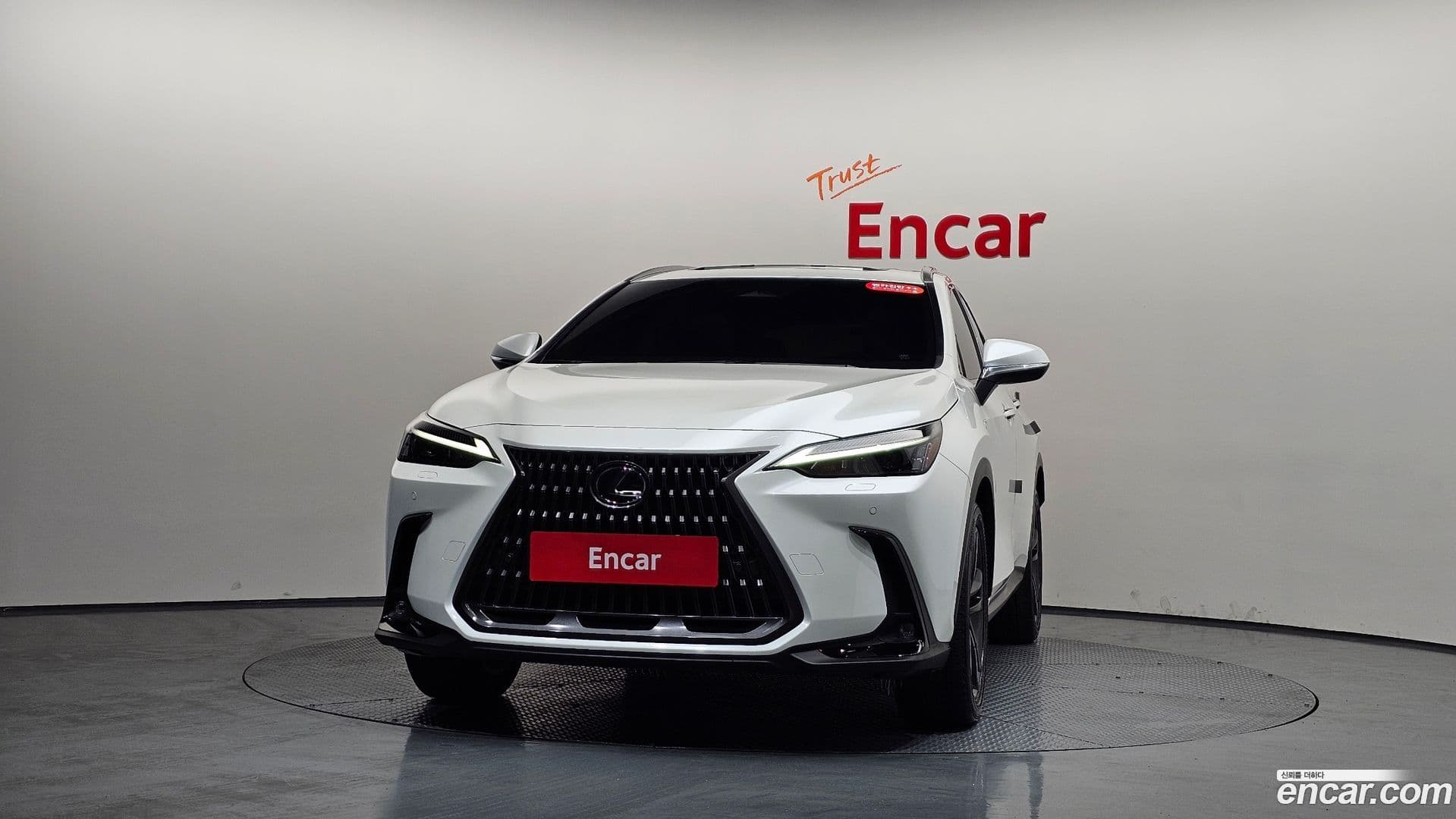 Main__Slider__Photo:NX Lexus 2024.11-2