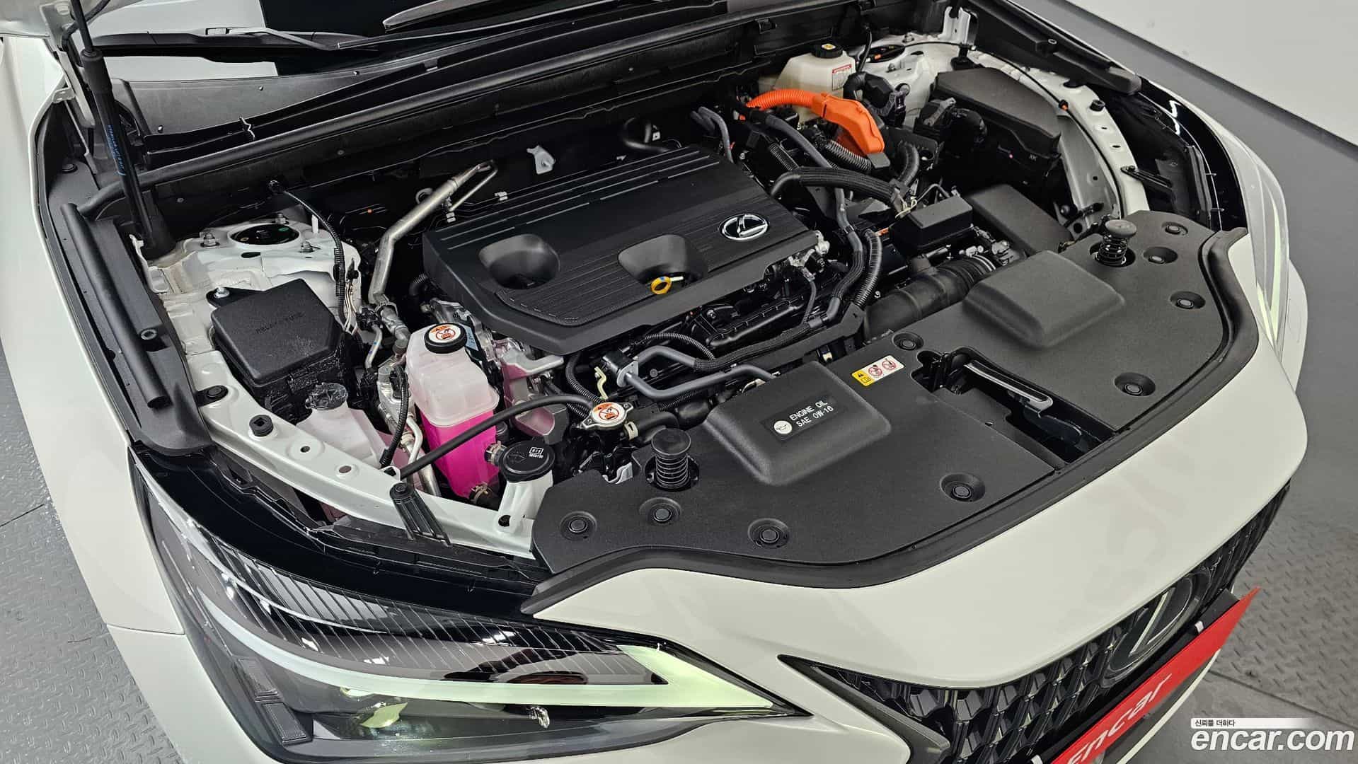 NX Lexus 2024.11-INNER-006