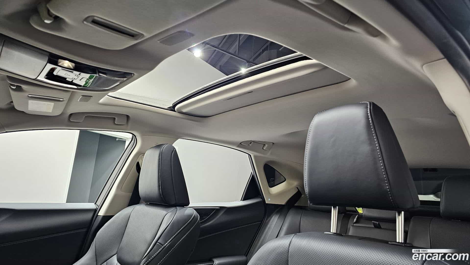 NX Lexus 2024.11-OPTION-023