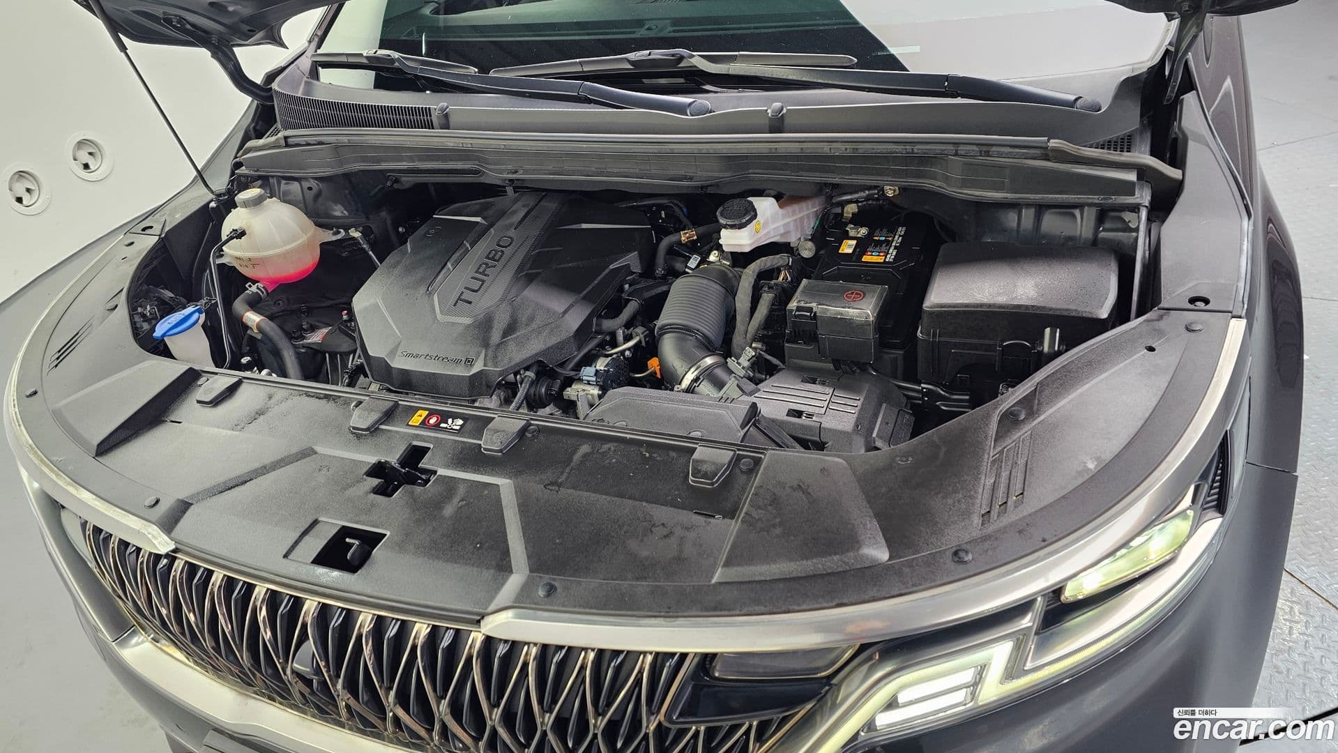 Main__Slider__Photo:Canival Kia 2021.11-5