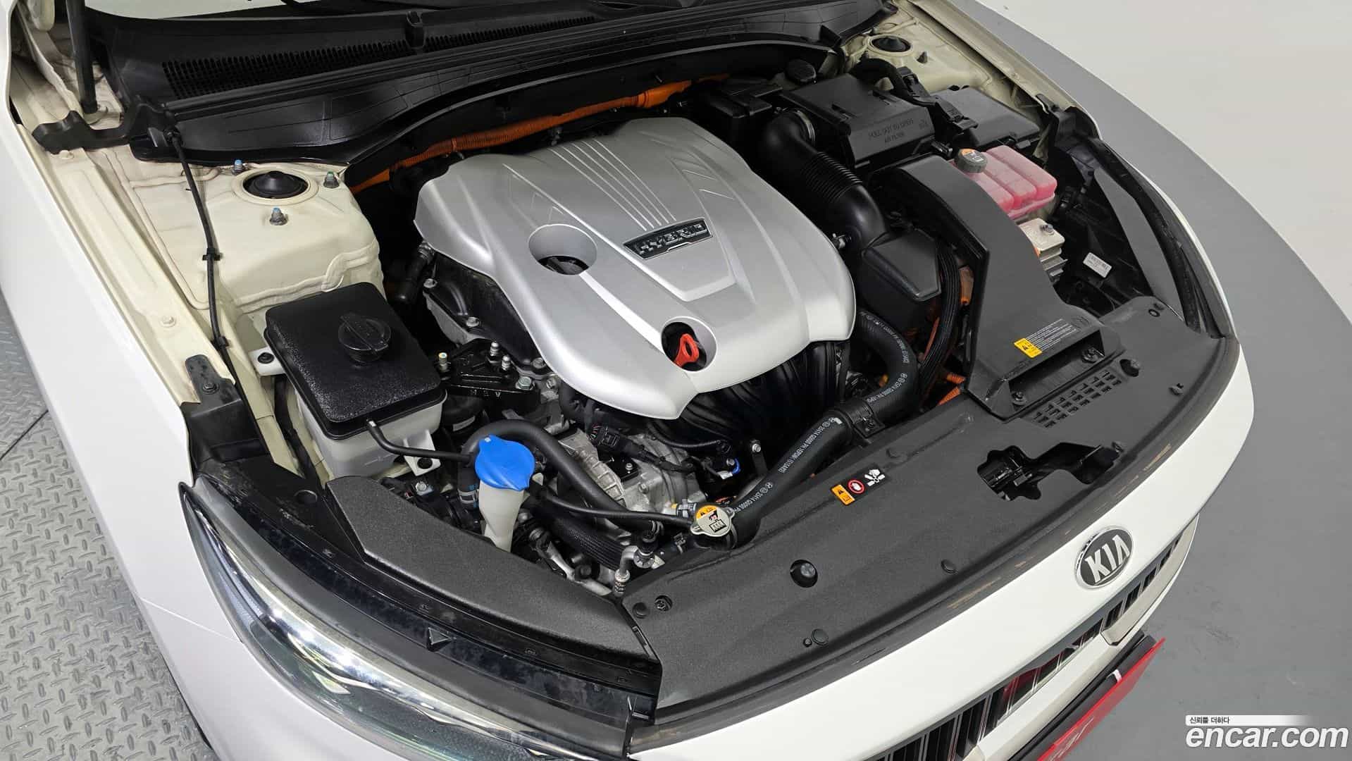 K7 Kia 2019.8-INNER-006