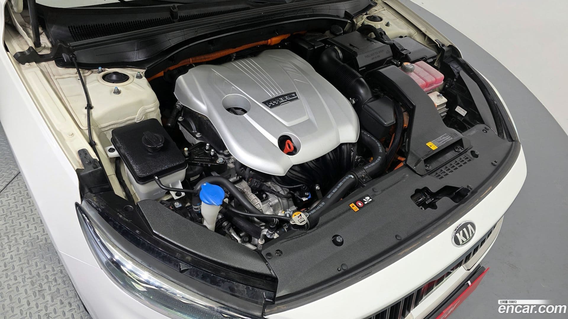 Main__Slider__Photo:K7 Kia 2019.8-5