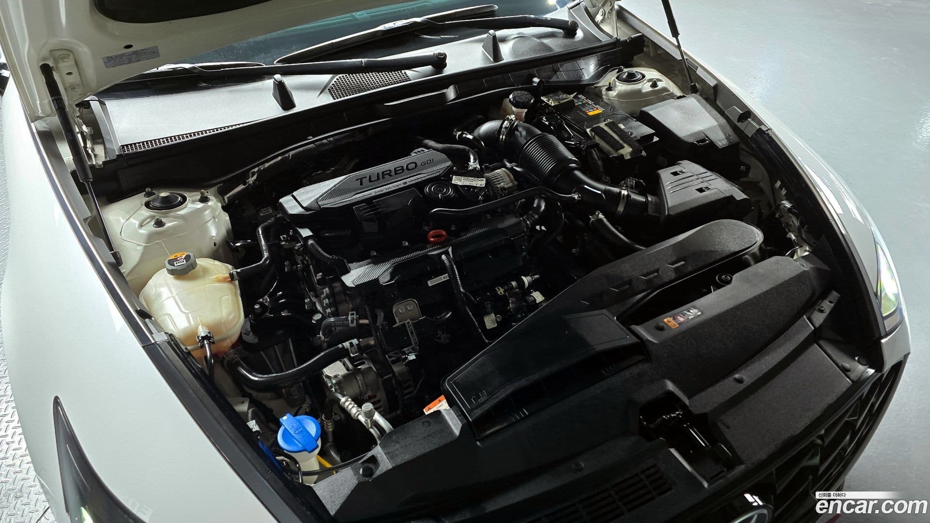 Main__Slider__Photo:Sonata Hyundai 2021.11-5