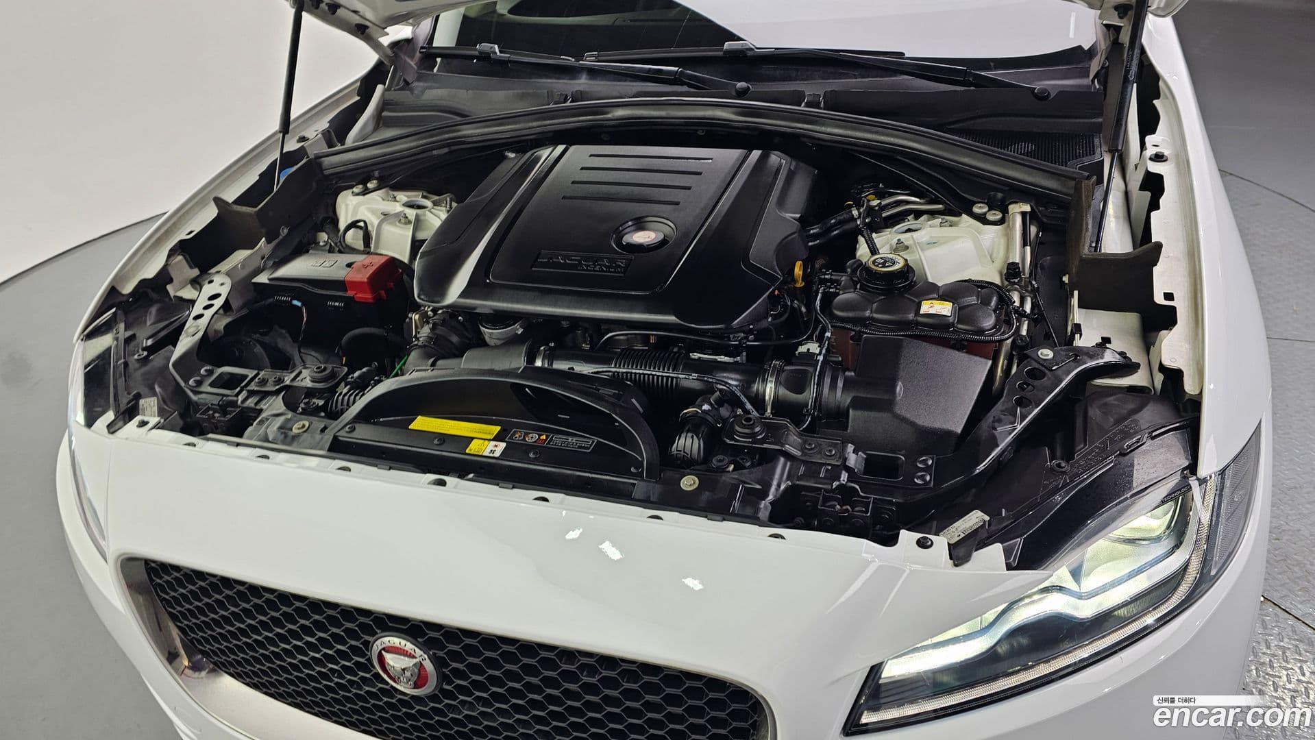 Main__Slider__Photo:F-PACE Jaguar 2019.5-5