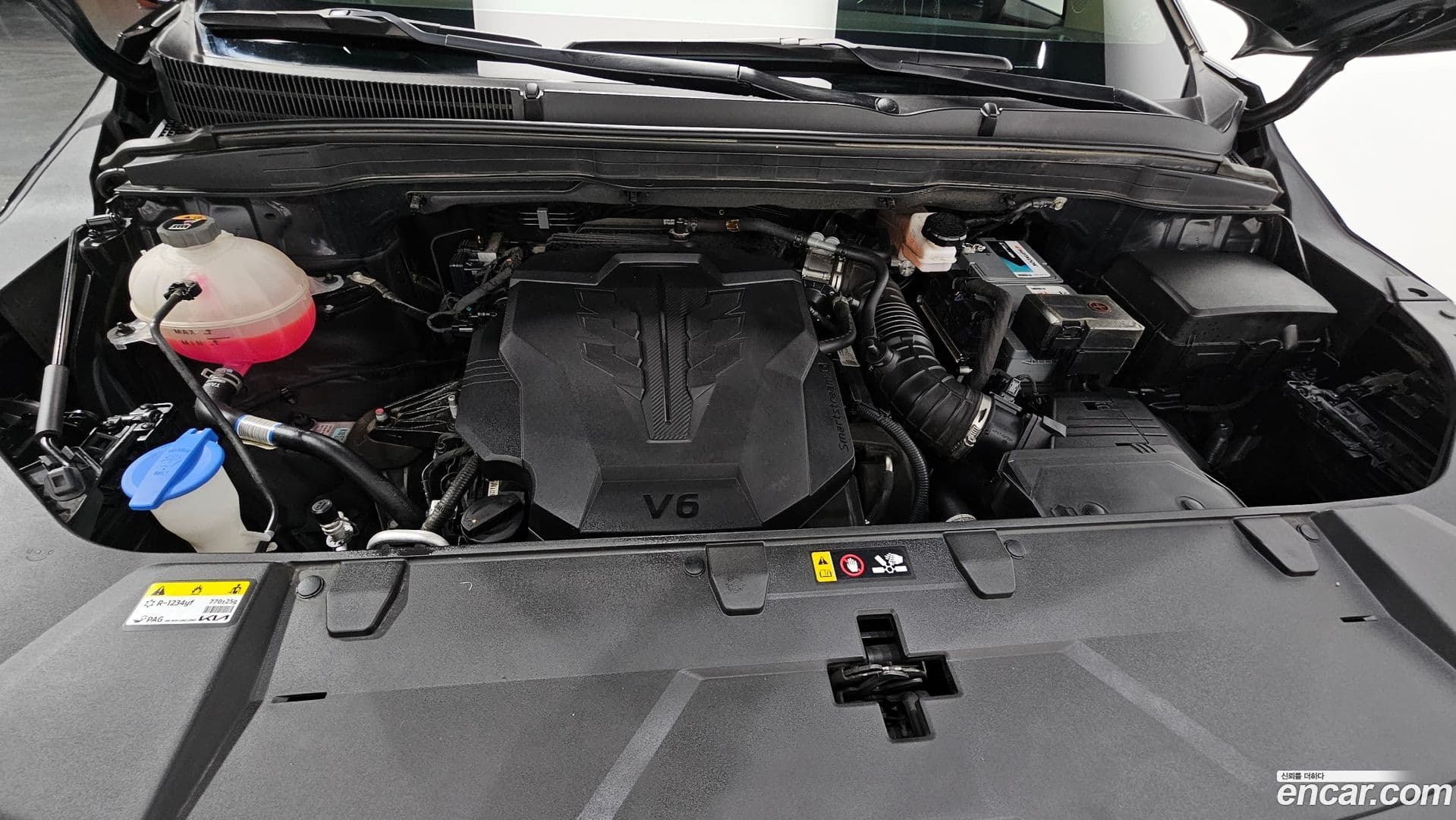 Main__Slider__Photo:Canival Kia 2022.11-5