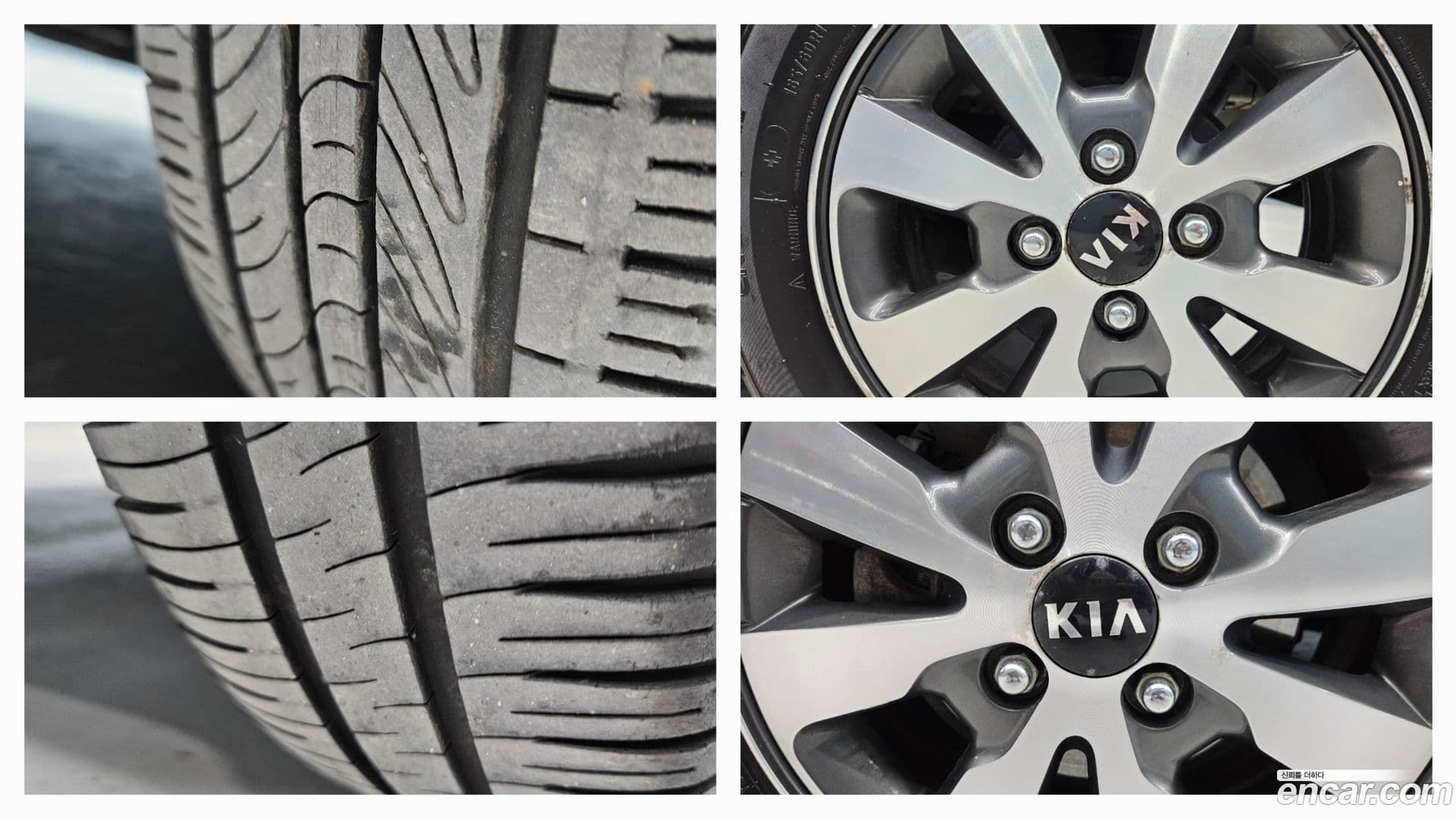 Main__Slider__Photo:morning Kia 2014.8-4