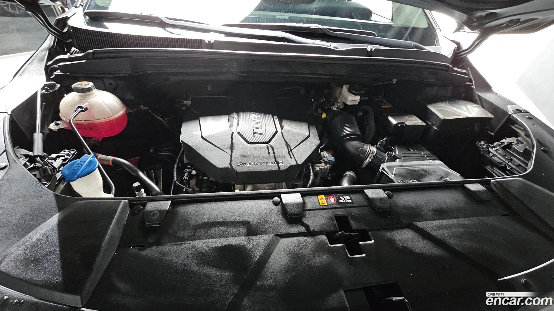 Main__Slider__Photo:Canival Kia 2021.7-5