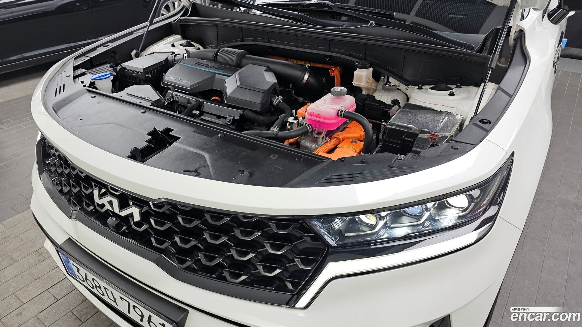 Main__Slider__Photo:Sorento Kia 2022.4-5