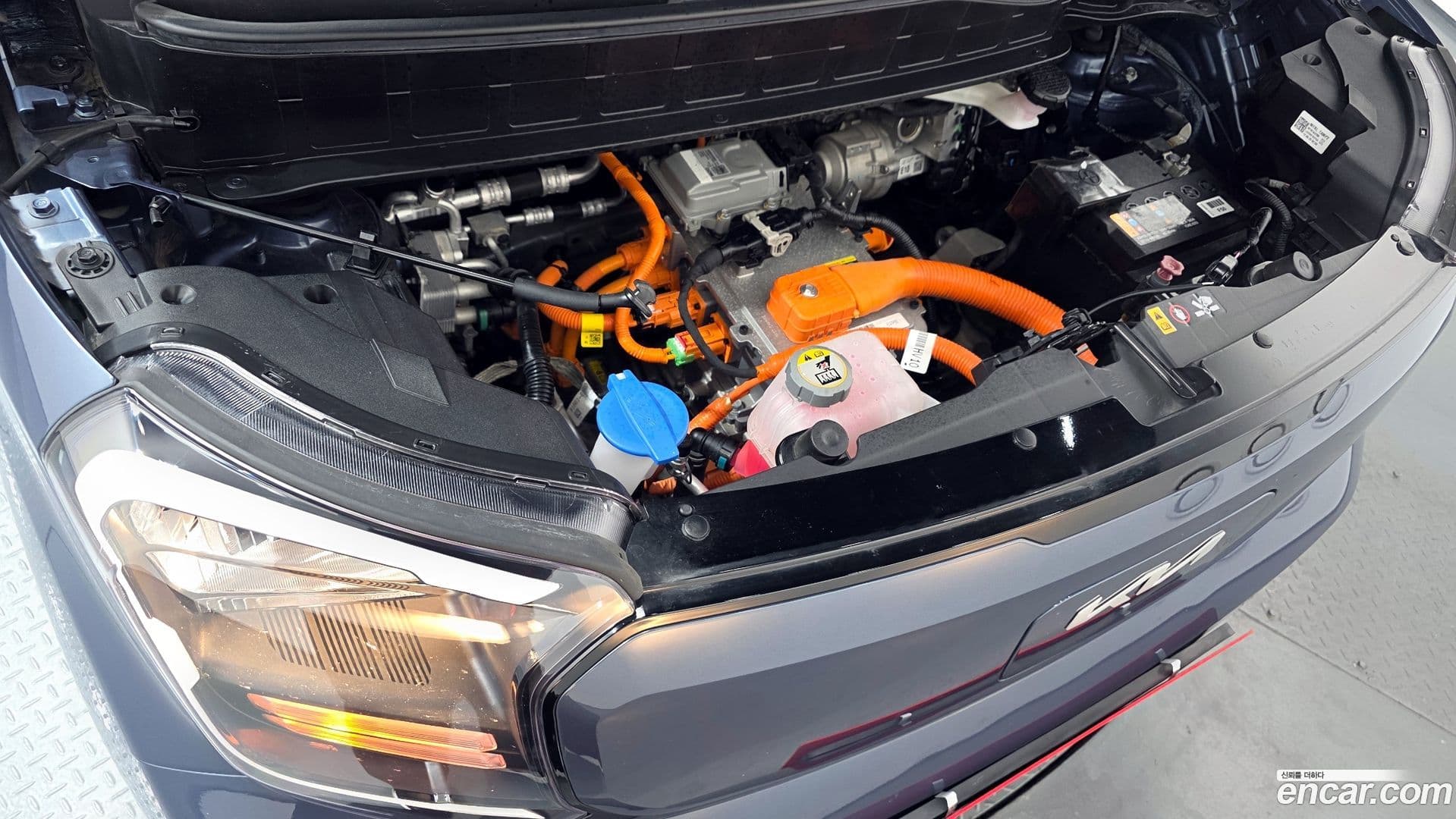 Main__Slider__Photo:RAY Kia 2023.11-5