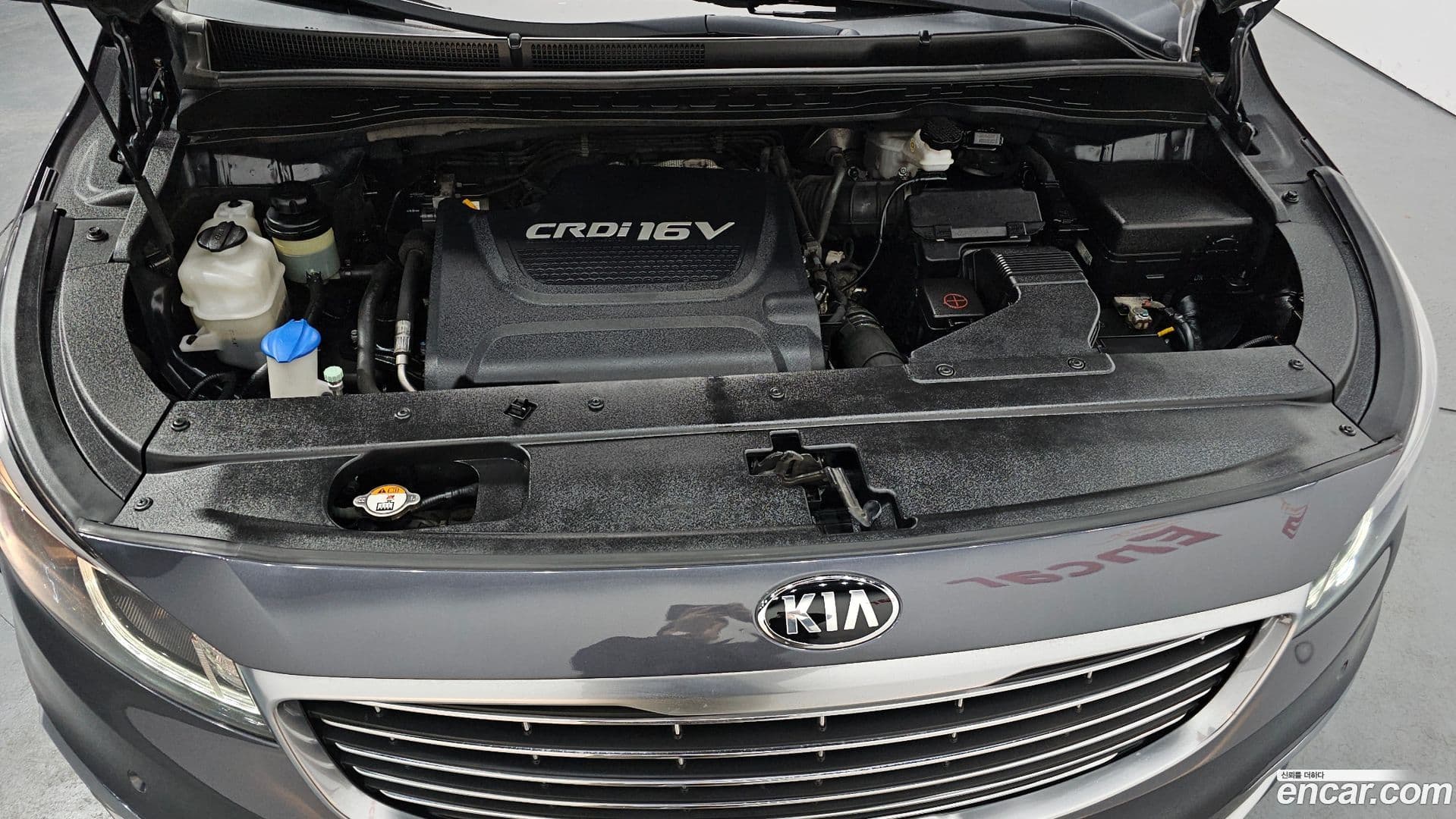 Main__Slider__Photo:Canival Kia 2016.11-5