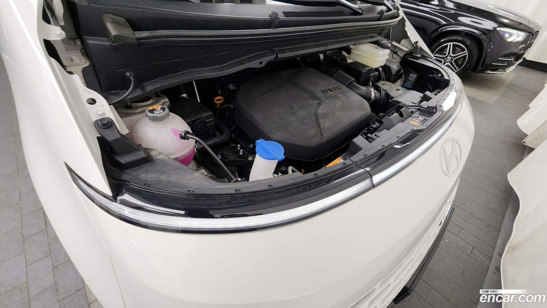 Main__Slider__Photo:Staria Hyundai 2024.3-5