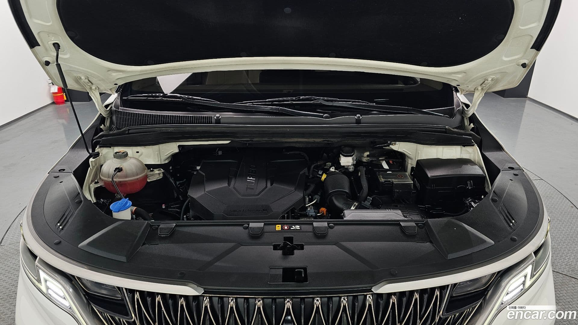 Main__Slider__Photo:Canival Kia 2021.11-5