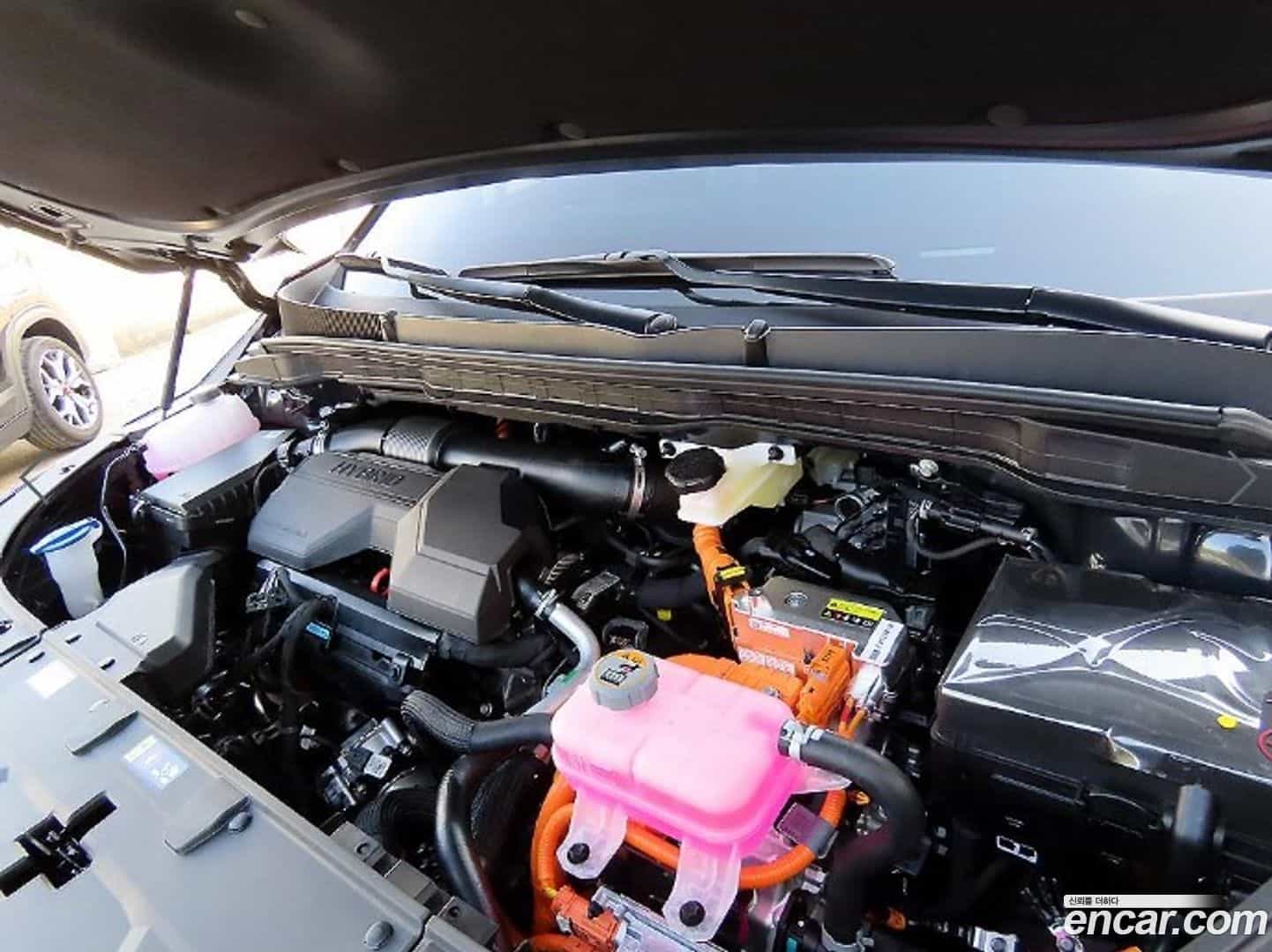 Canival Kia 2026.0-OPTION-023