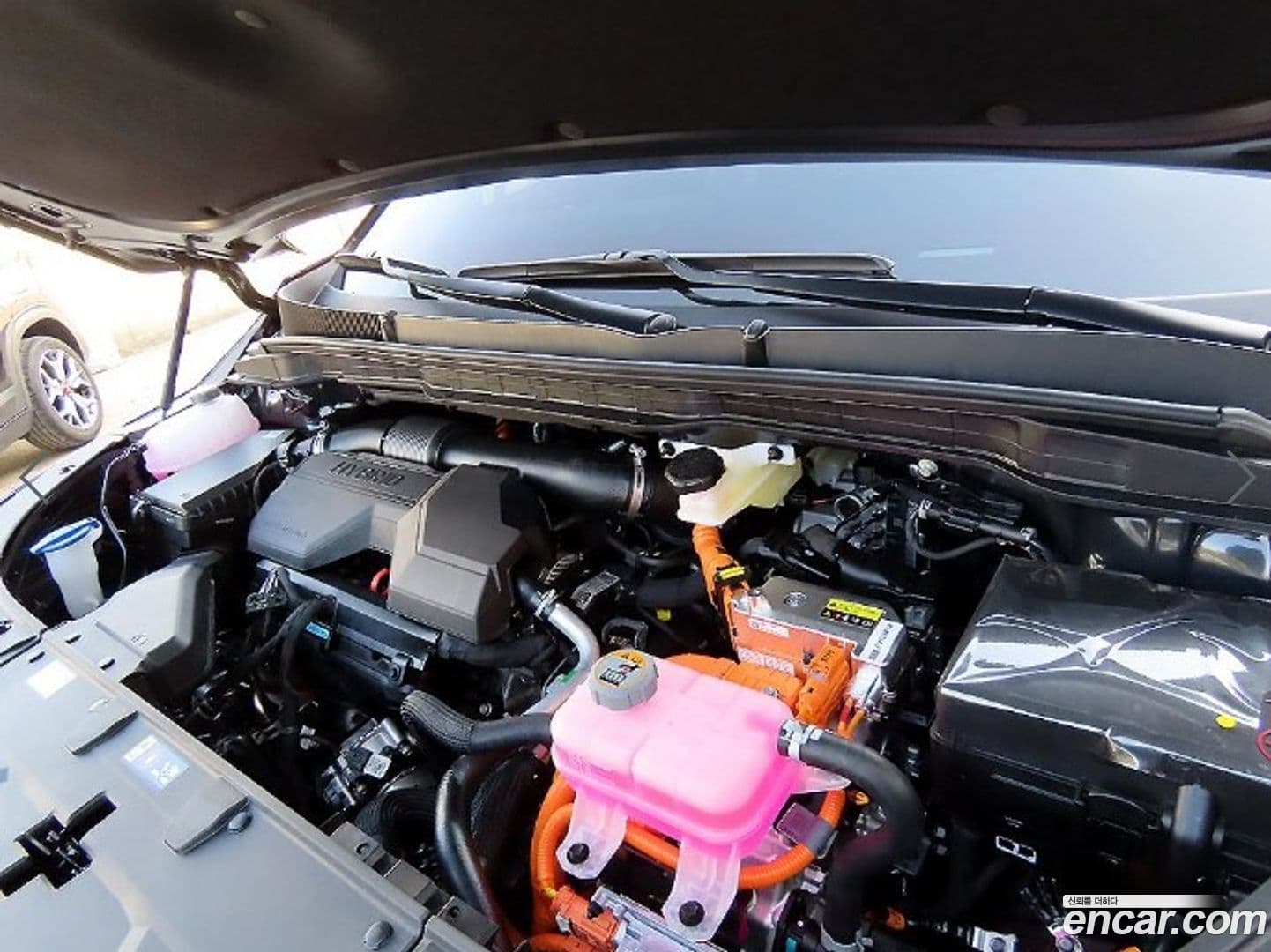 Main__Slider__Photo:Canival Kia 2026.0-18