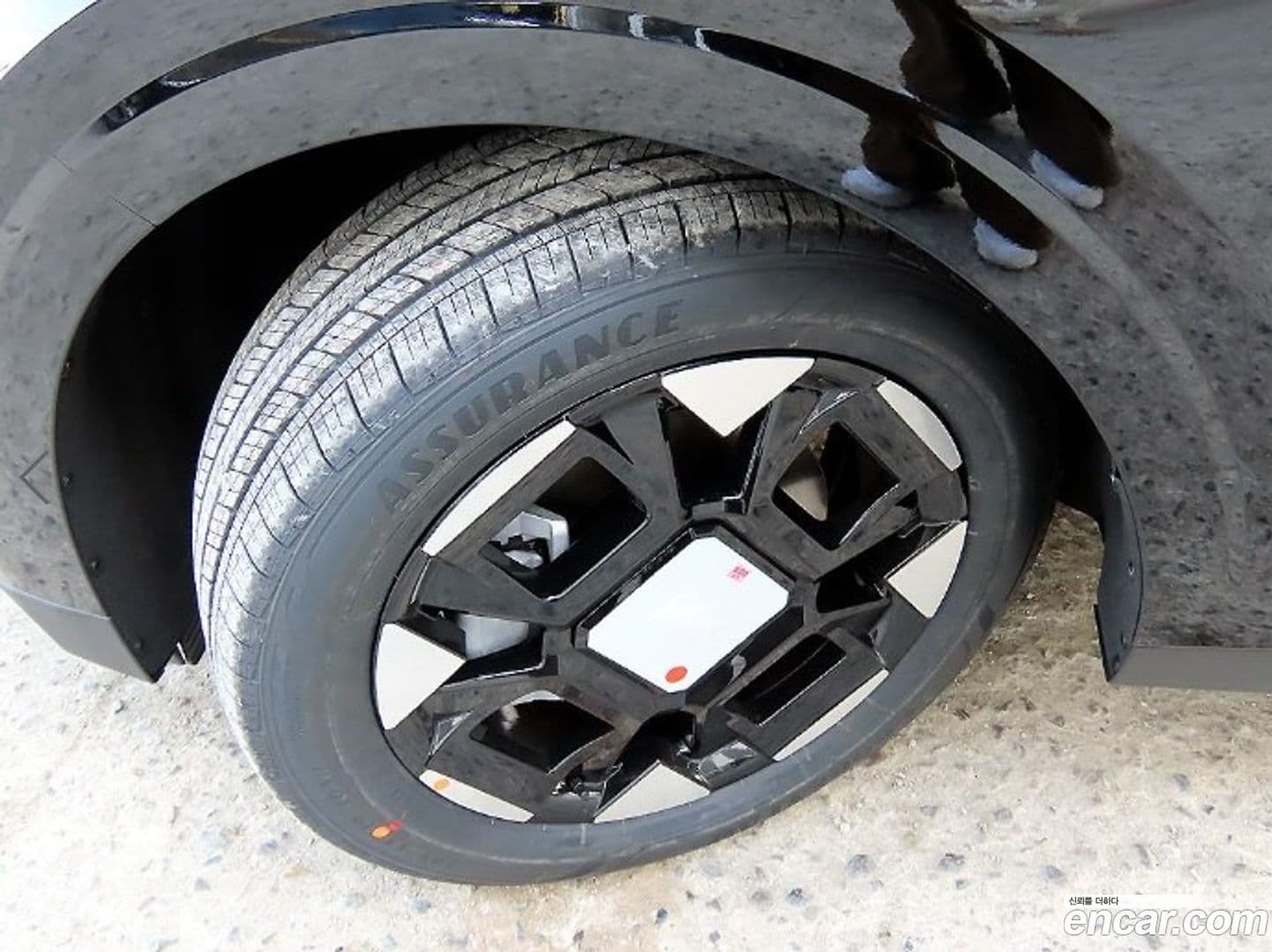 Main__Slider__Photo:Canival Kia 2026.0-19