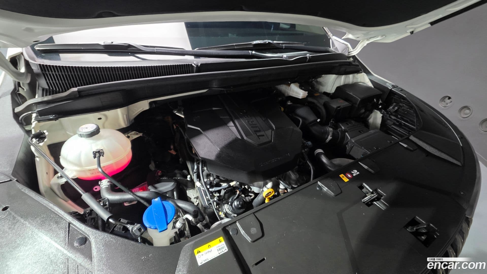 Main__Slider__Photo:Canival Kia 2022.6-5