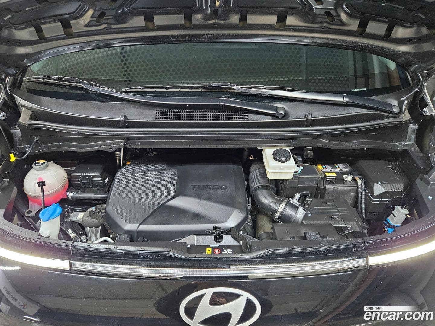 Main__Slider__Photo:Staria Hyundai 2024.6-5