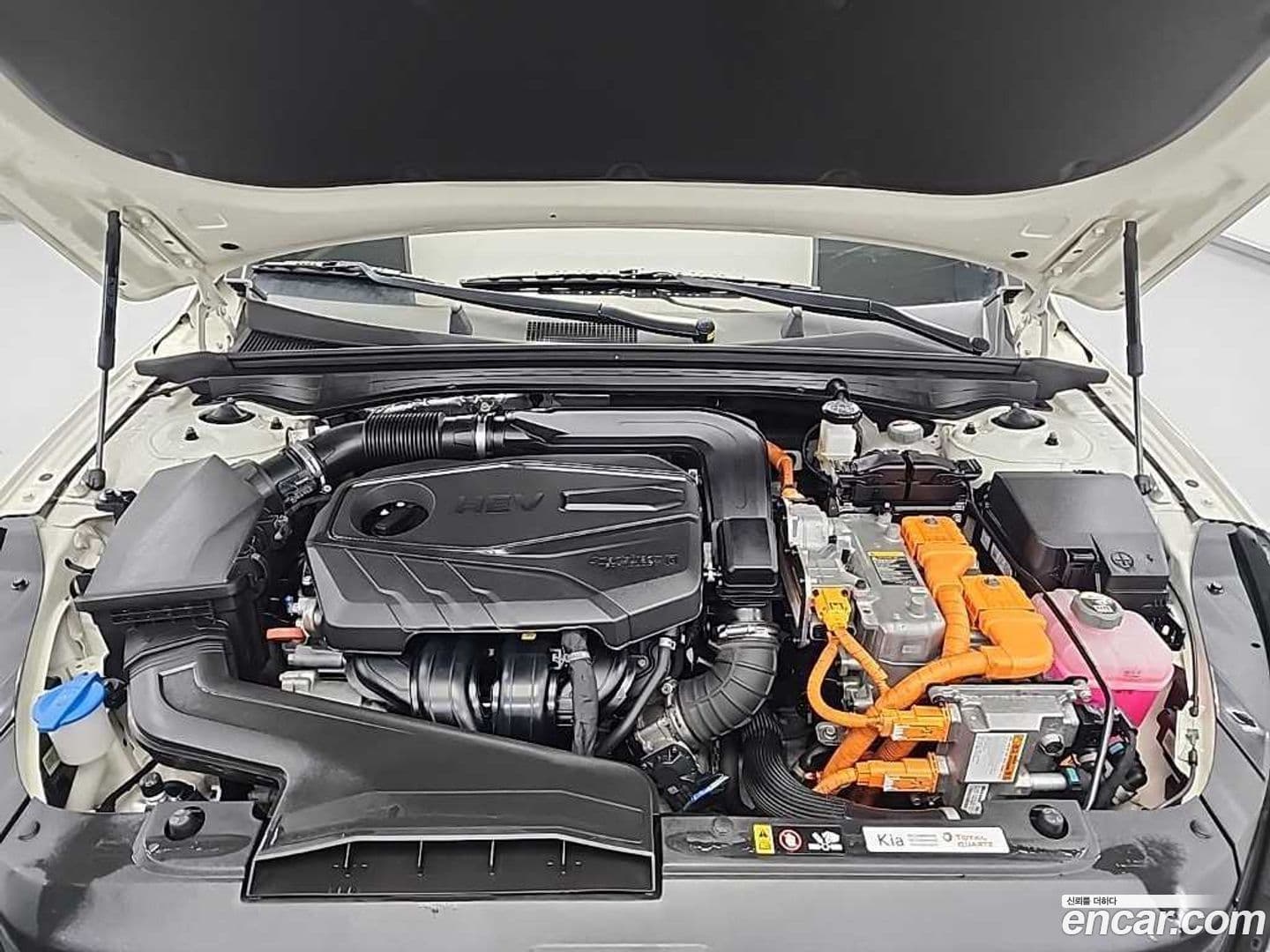 Main__Slider__Photo:K5 Kia 2022.8-5