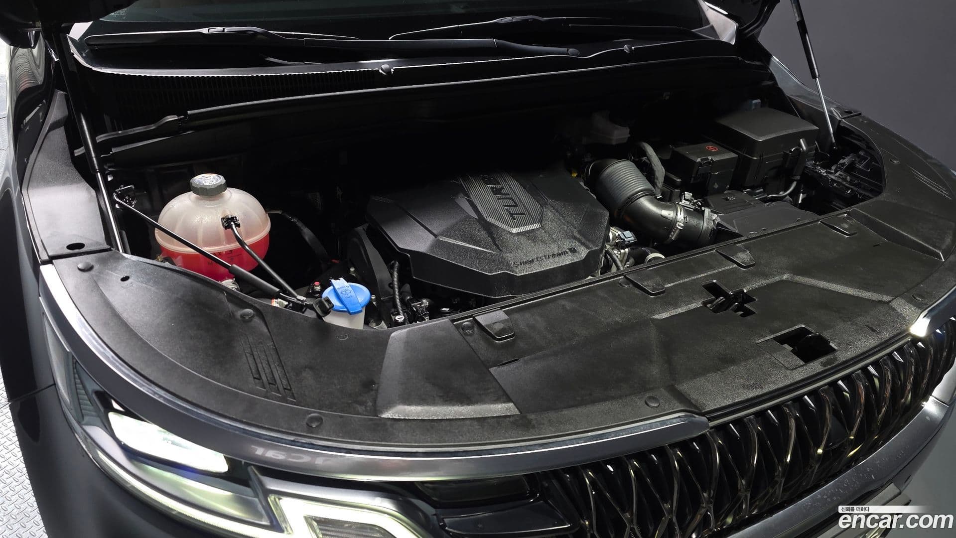 Main__Slider__Photo:Canival Kia 2020.10-5