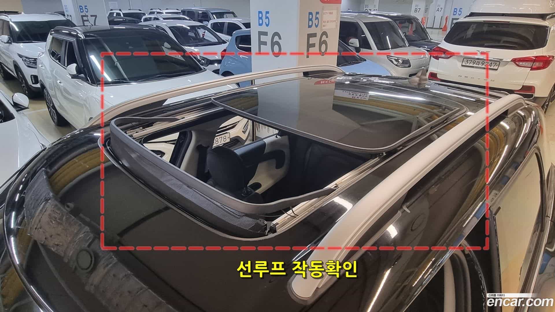 Countryman Mini 2019.0-OPTION-021