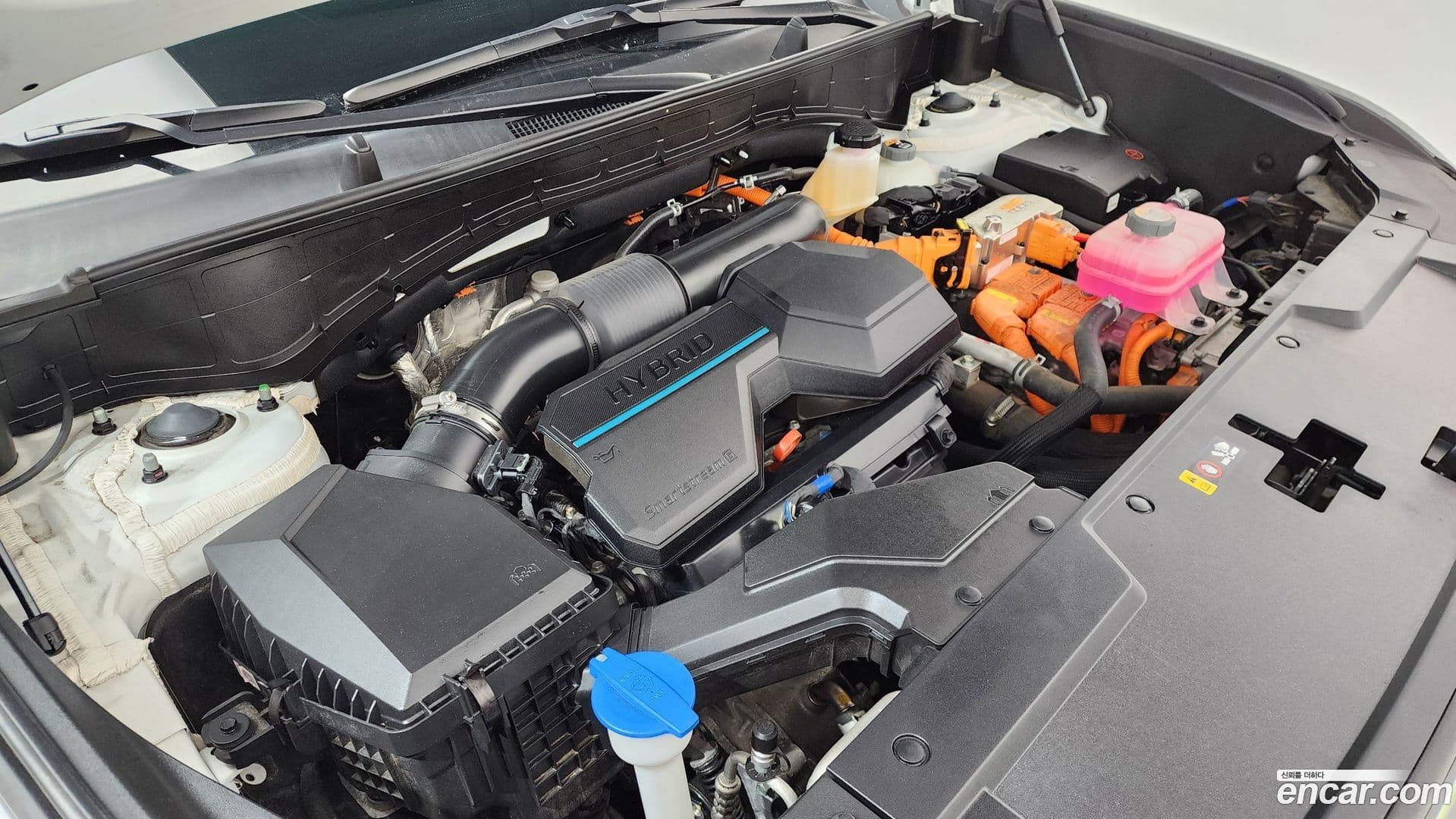 Main__Slider__Photo:Santafe Hyundai 2024.1-5