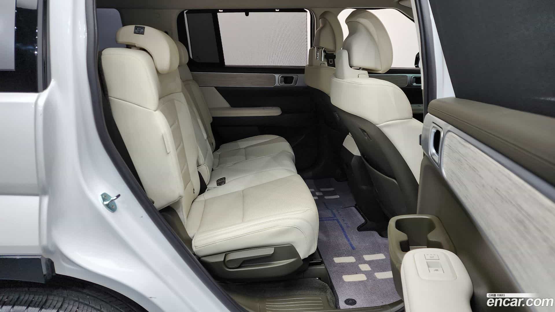 Santafe Hyundai 2024.1-OPTION-016