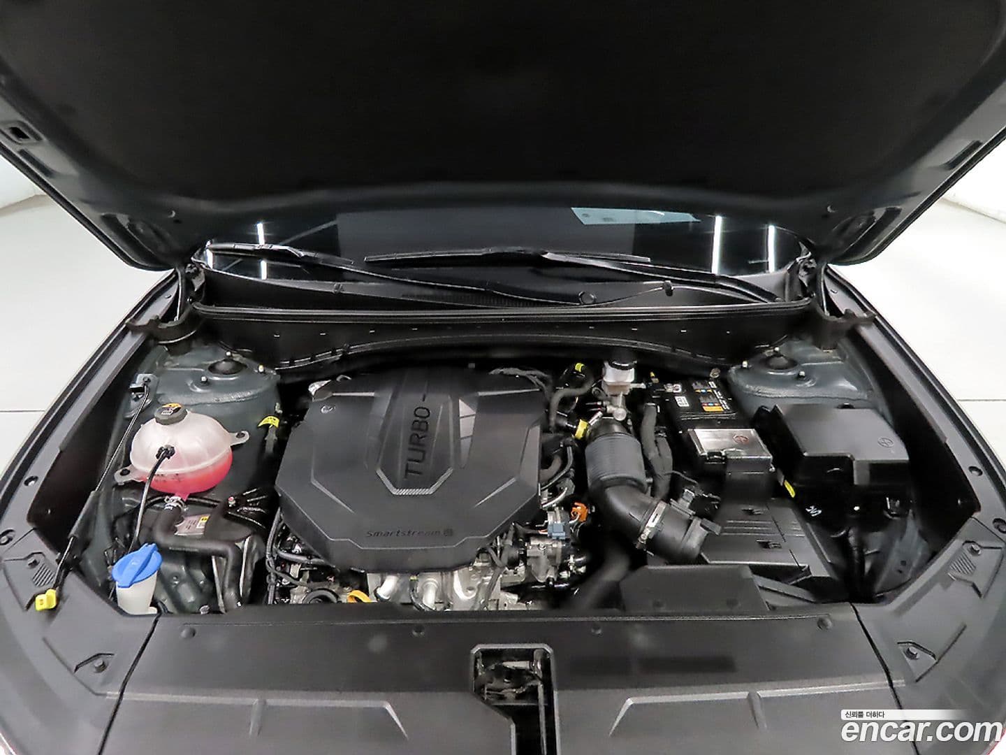 Main__Slider__Photo:Tucson Hyundai 2022.11-18