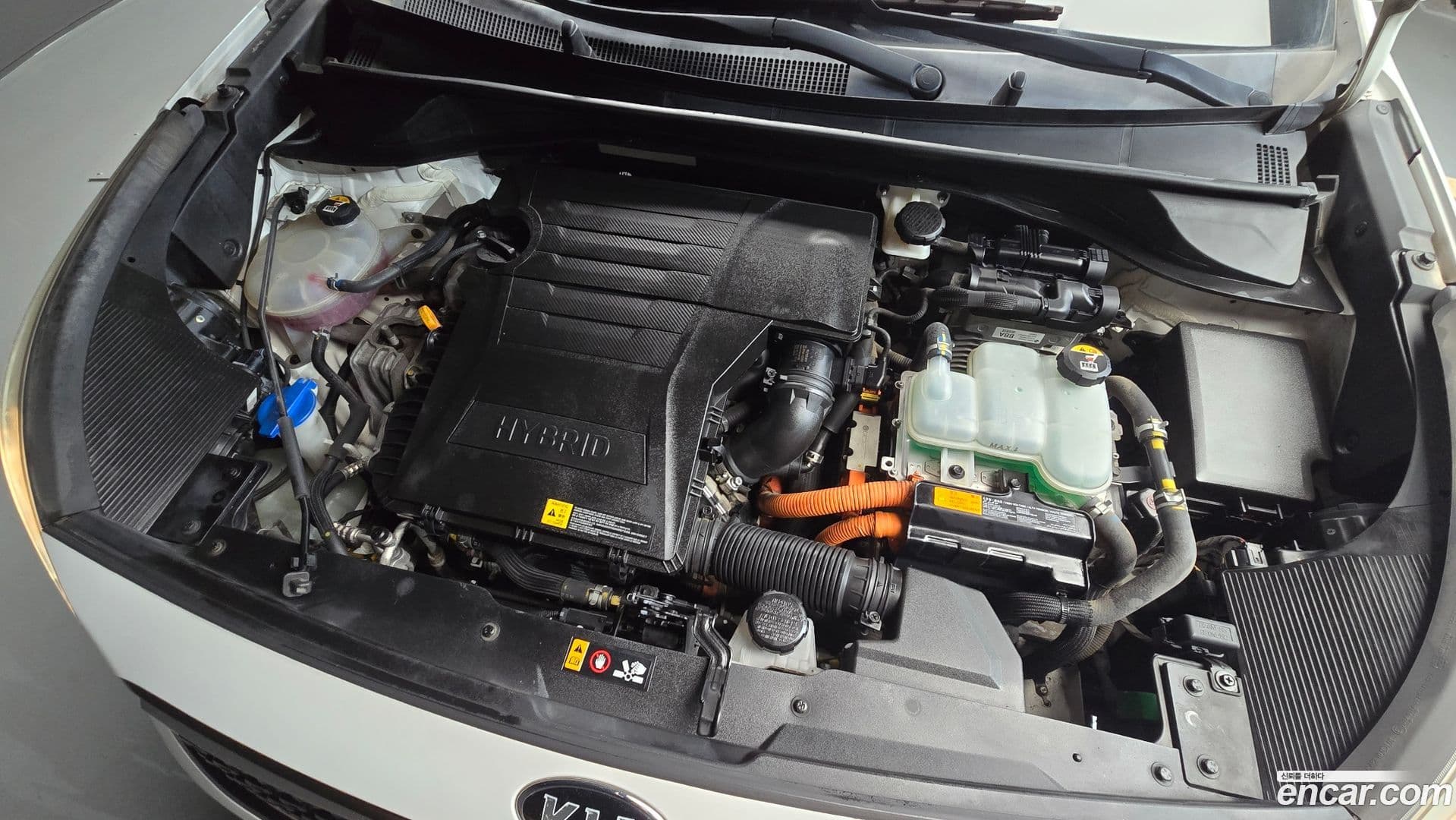 Main__Slider__Photo:Niro Kia 2016.8-5