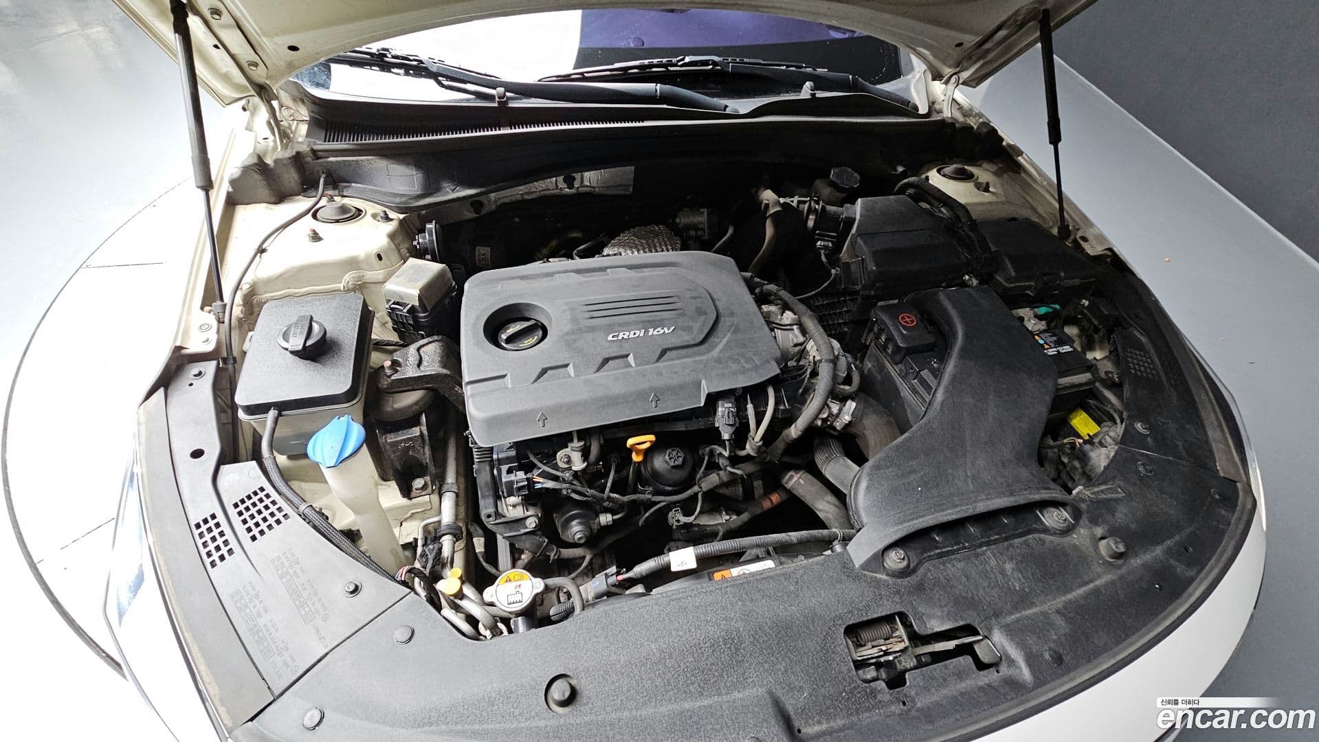 Main__Slider__Photo:K5 Kia 2015.11-5