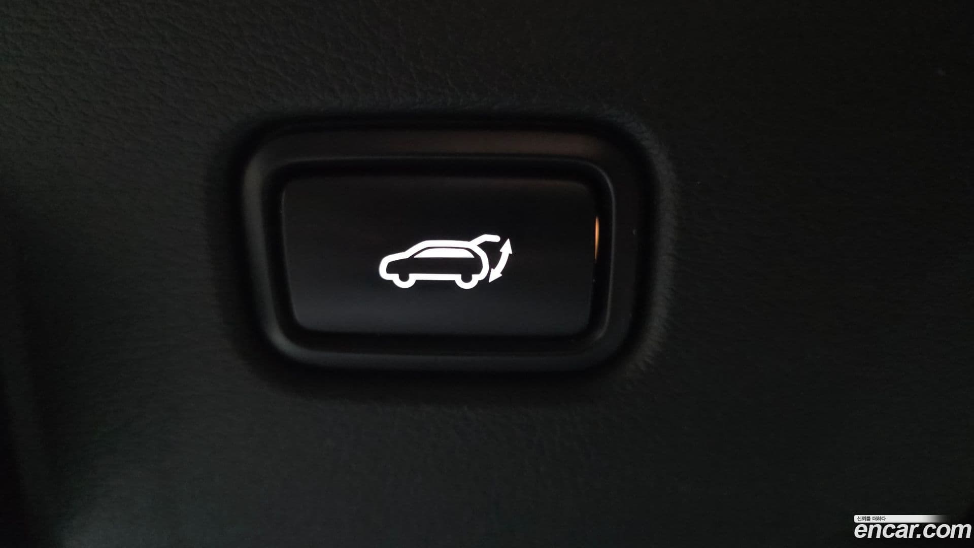 Main__Slider__Photo:Sportage Kia 2021.9-19