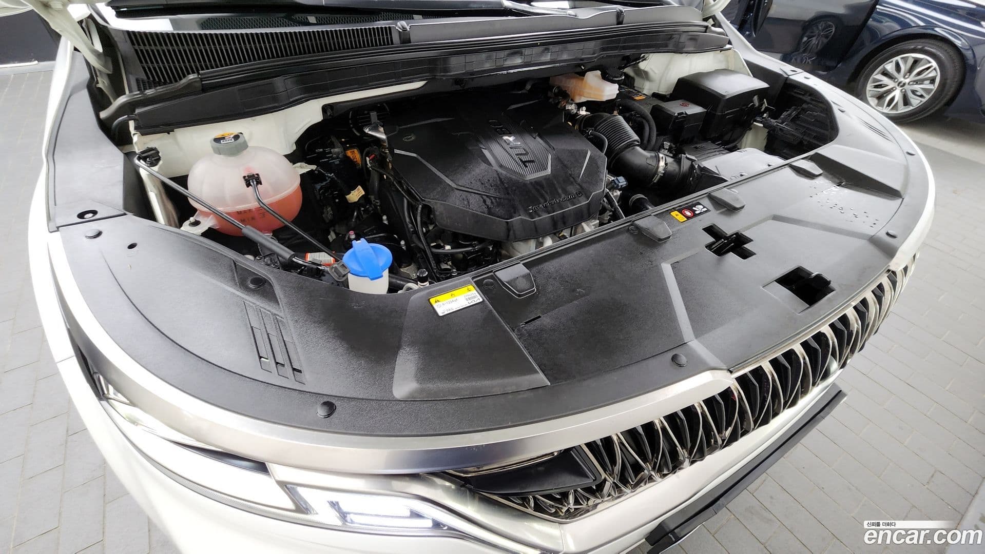 Main__Slider__Photo:Canival Kia 2022.3-5