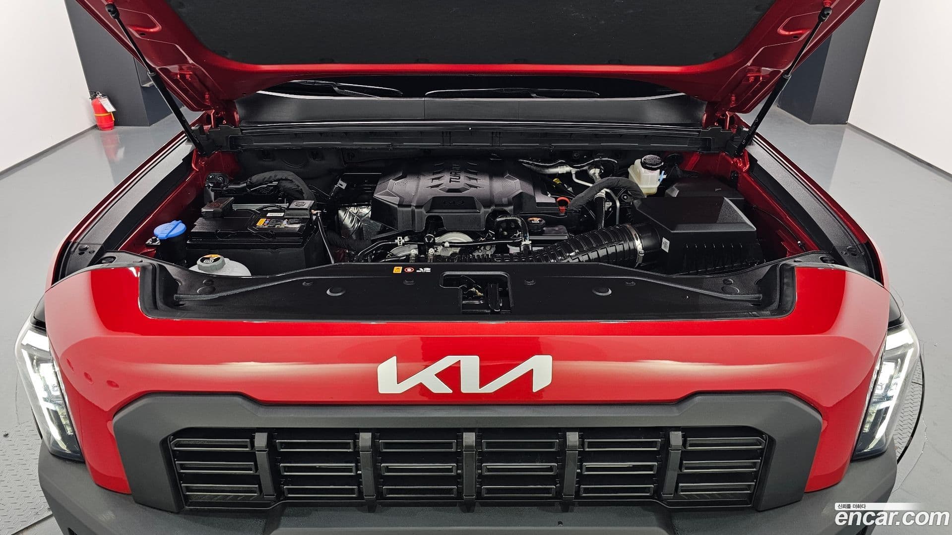 Main__Slider__Photo:Tasman Kia 2025.4-5