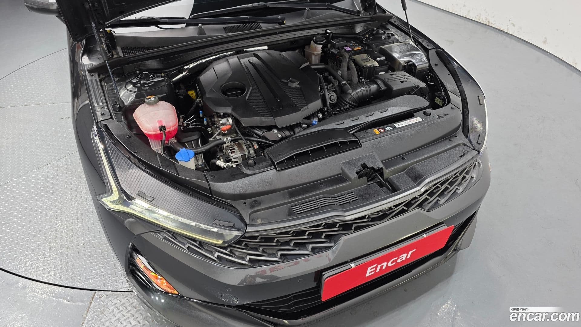 Main__Slider__Photo:K5 Kia 2021.11-5