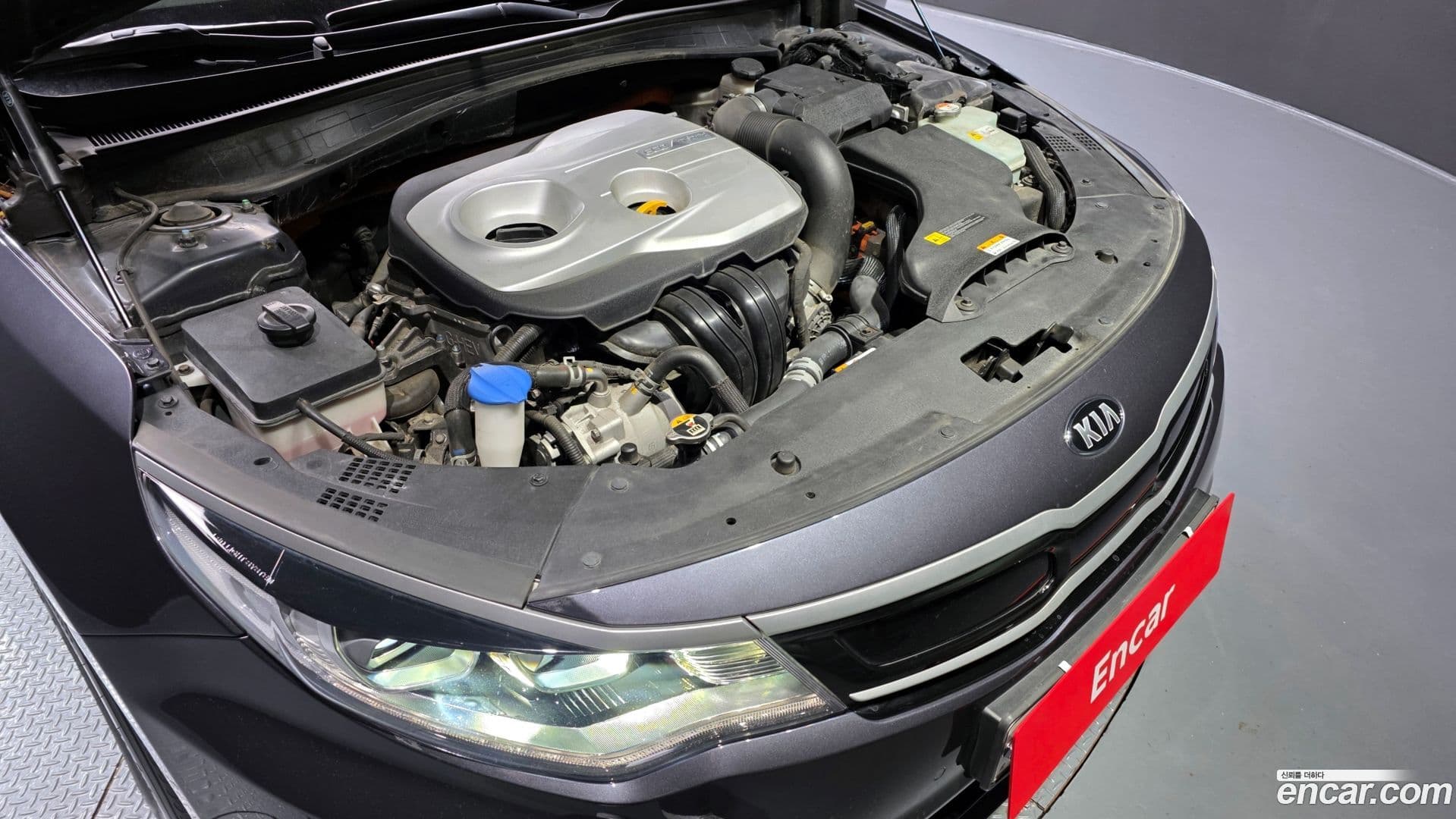 Main__Slider__Photo:K5 Kia 2018.11-5