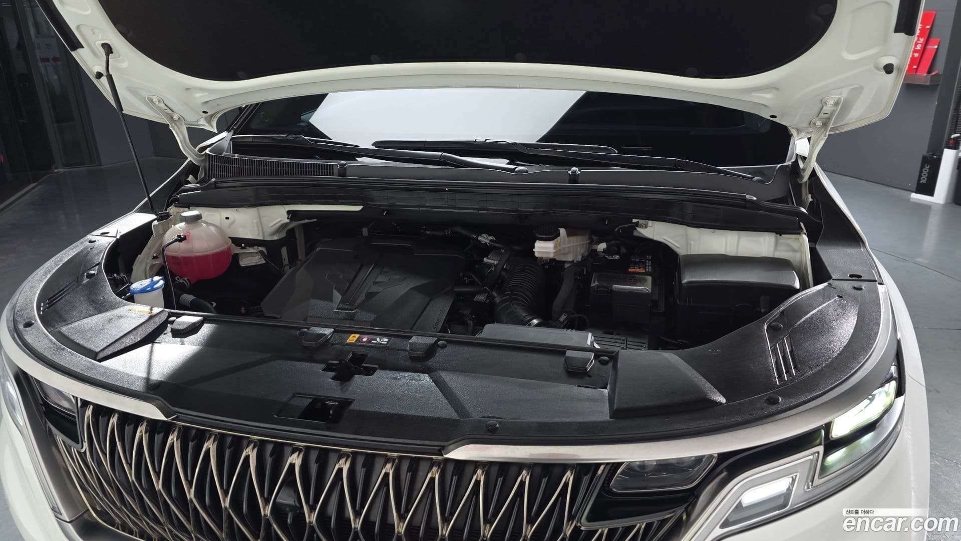 Main__Slider__Photo:Canival Kia 2023.8-5