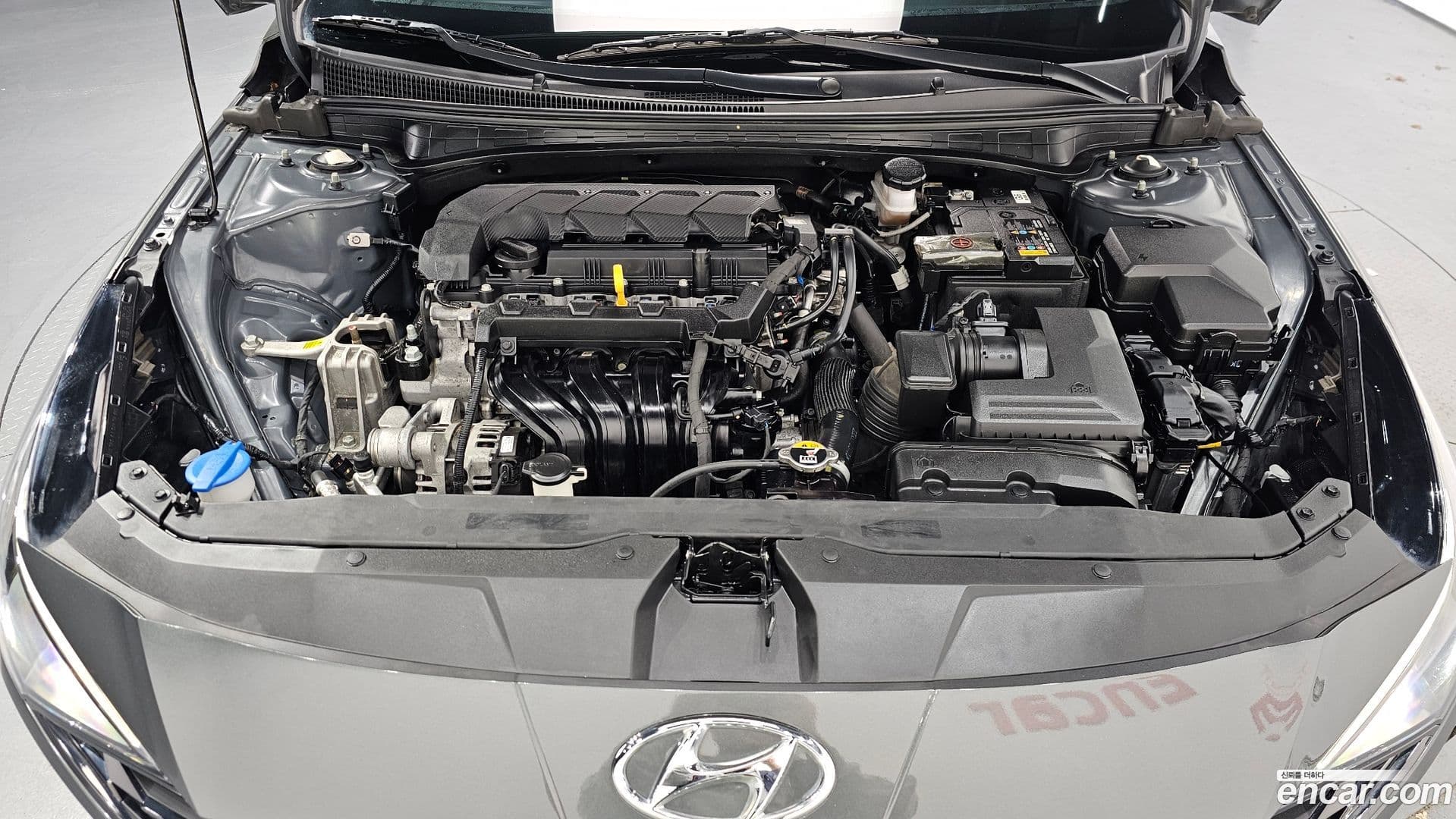 Main__Slider__Photo:AVANTE Hyundai 2022.3-5