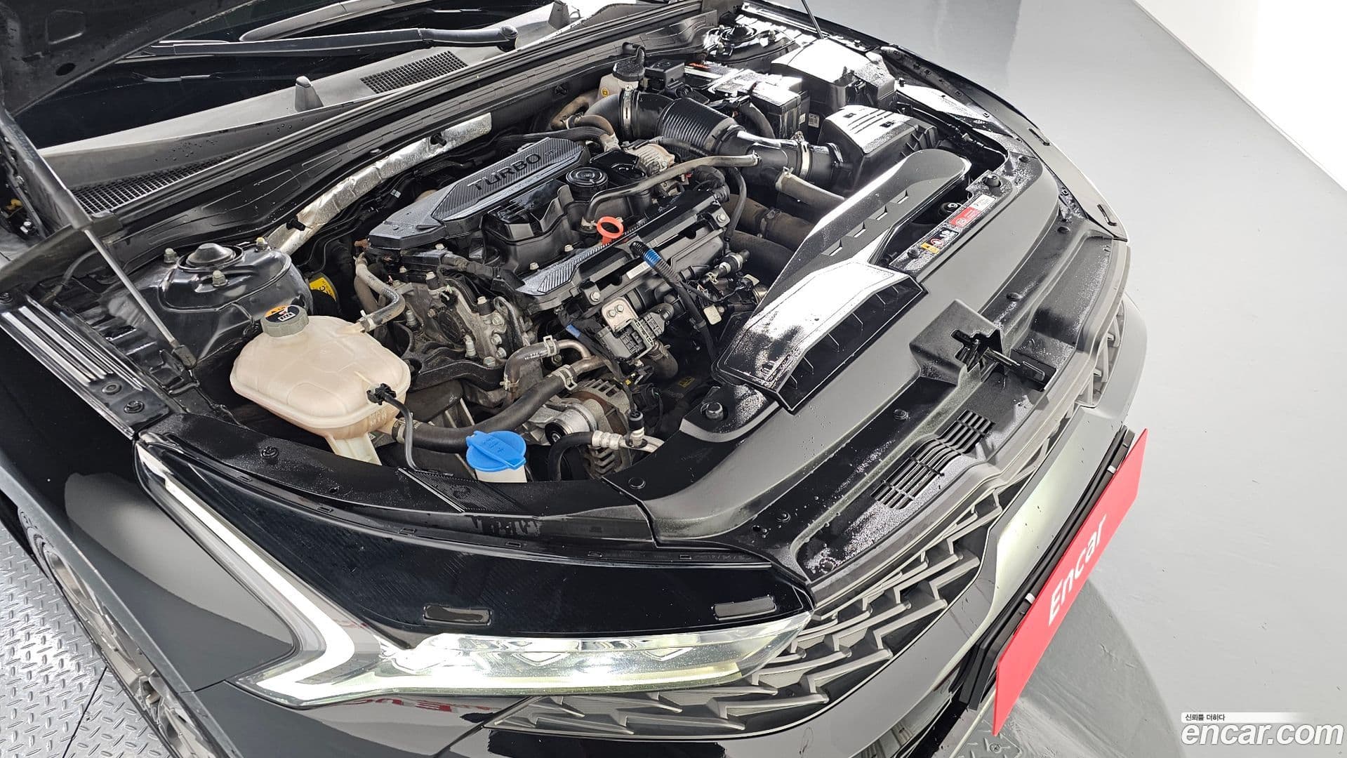 Main__Slider__Photo:K5 Kia 2021.3-5