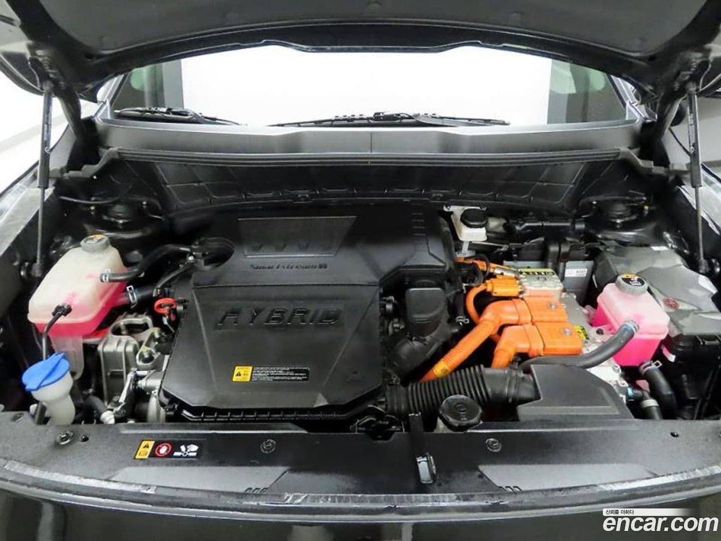 Main__Slider__Photo:Niro Kia 2023.9-19