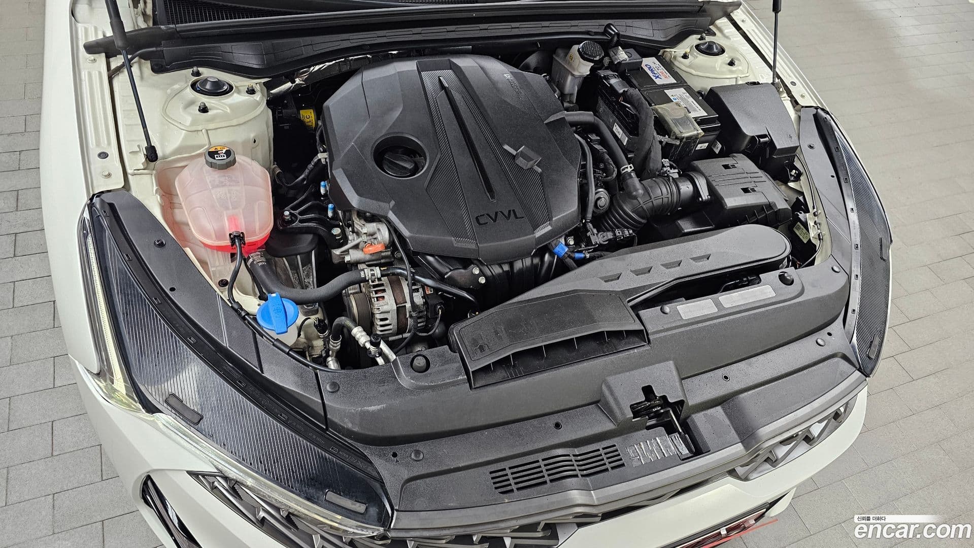 Main__Slider__Photo:K5 Kia 2022.3-5