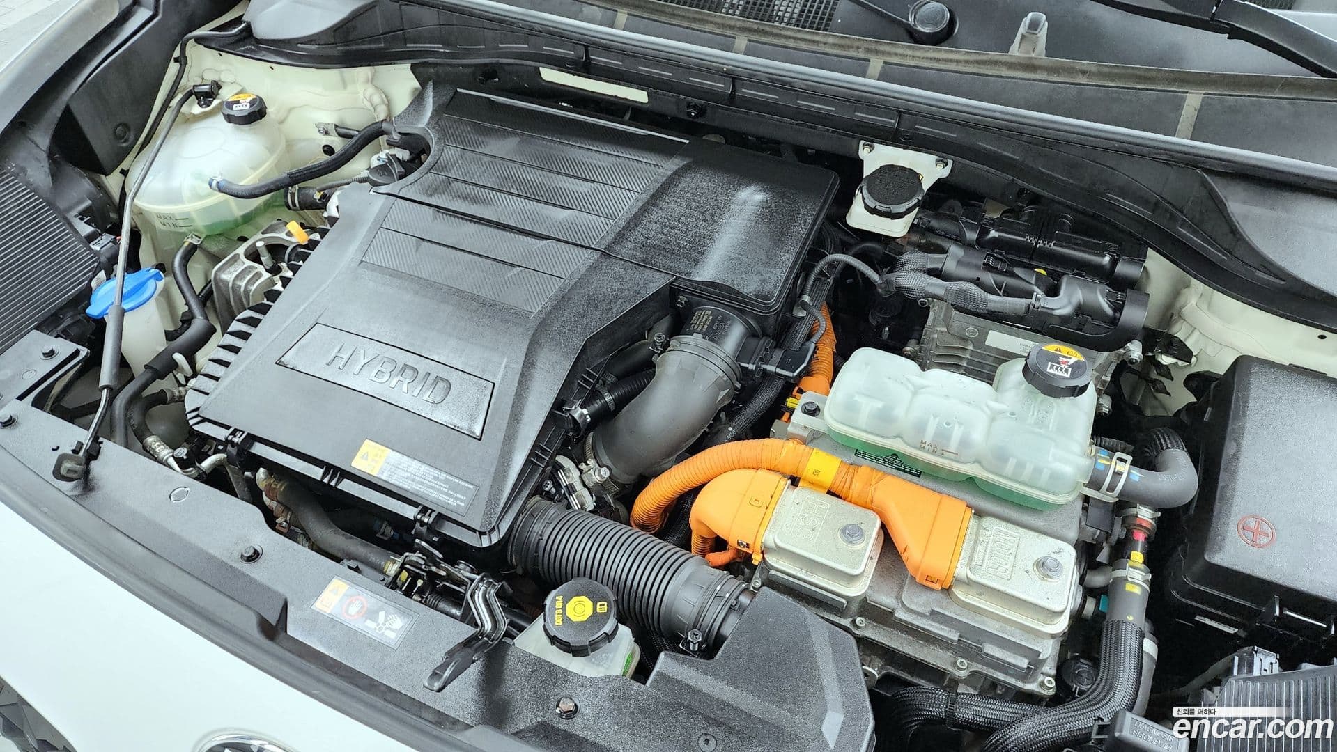 Main__Slider__Photo:Niro Kia 2019.11-5