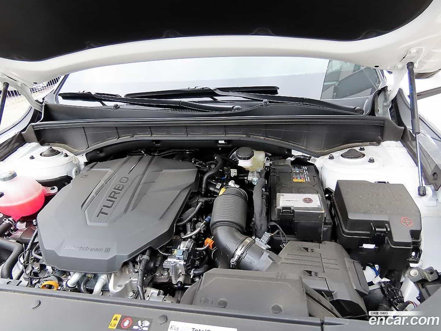 Sorento Kia 2025.3-OPTION-023