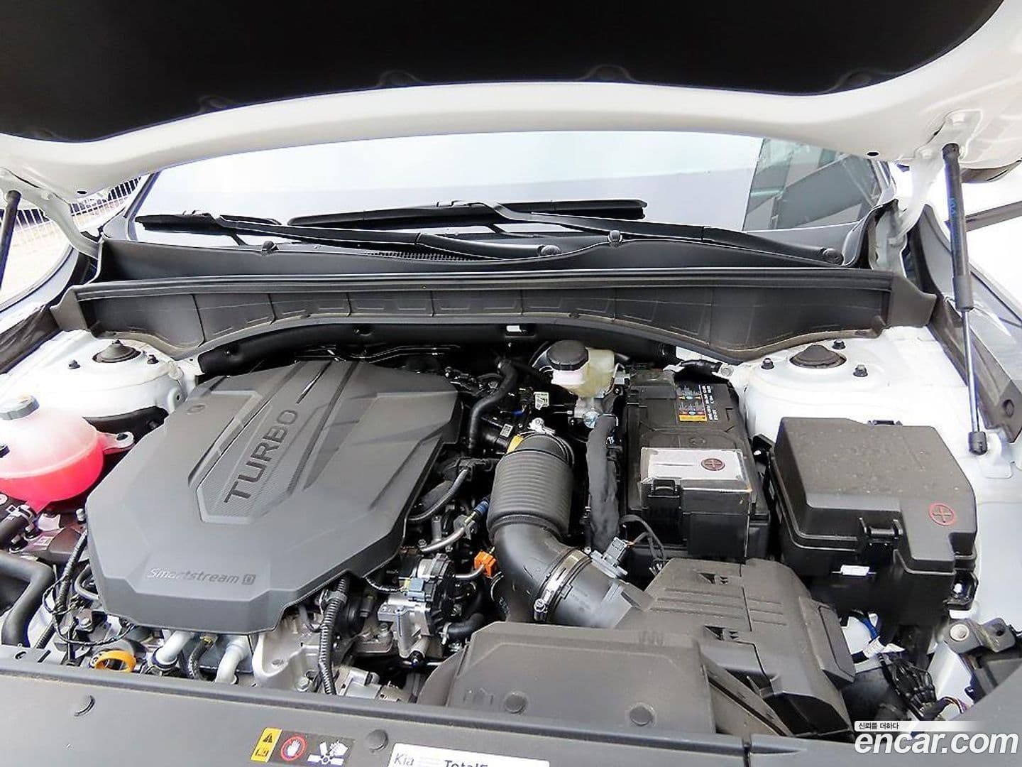 Main__Slider__Photo:Sorento Kia 2025.3-18